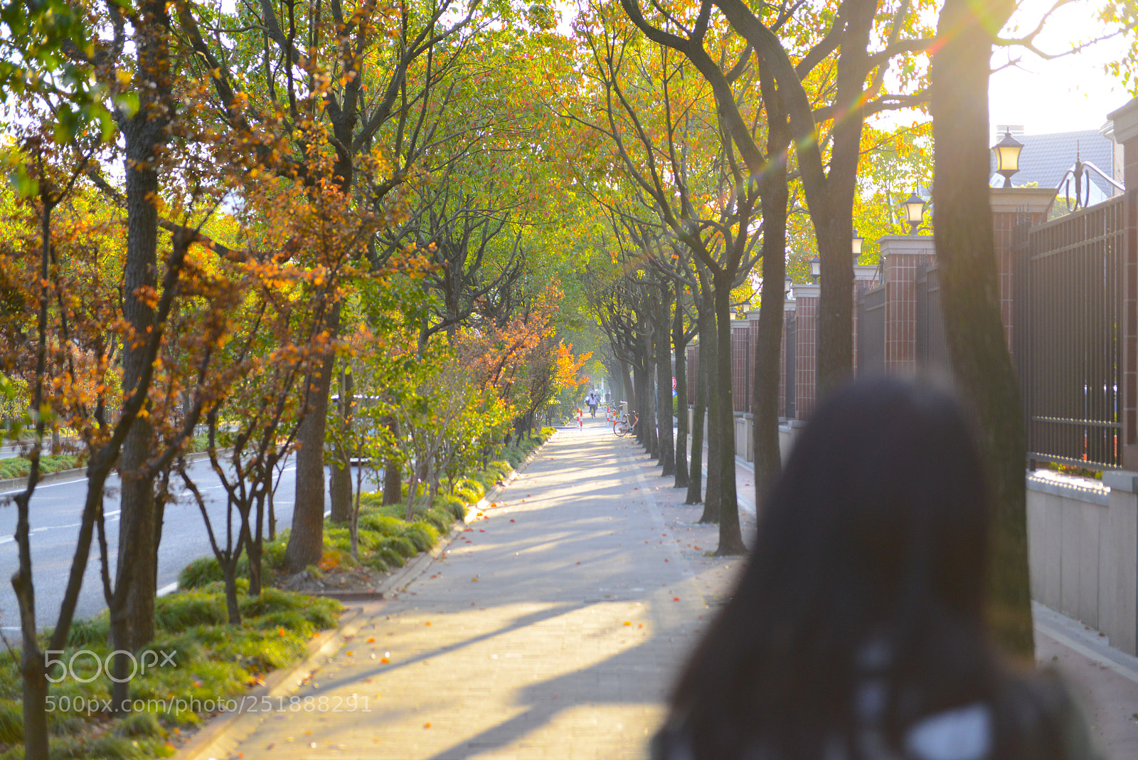 Nikon D800 sample photo. Untitled photography