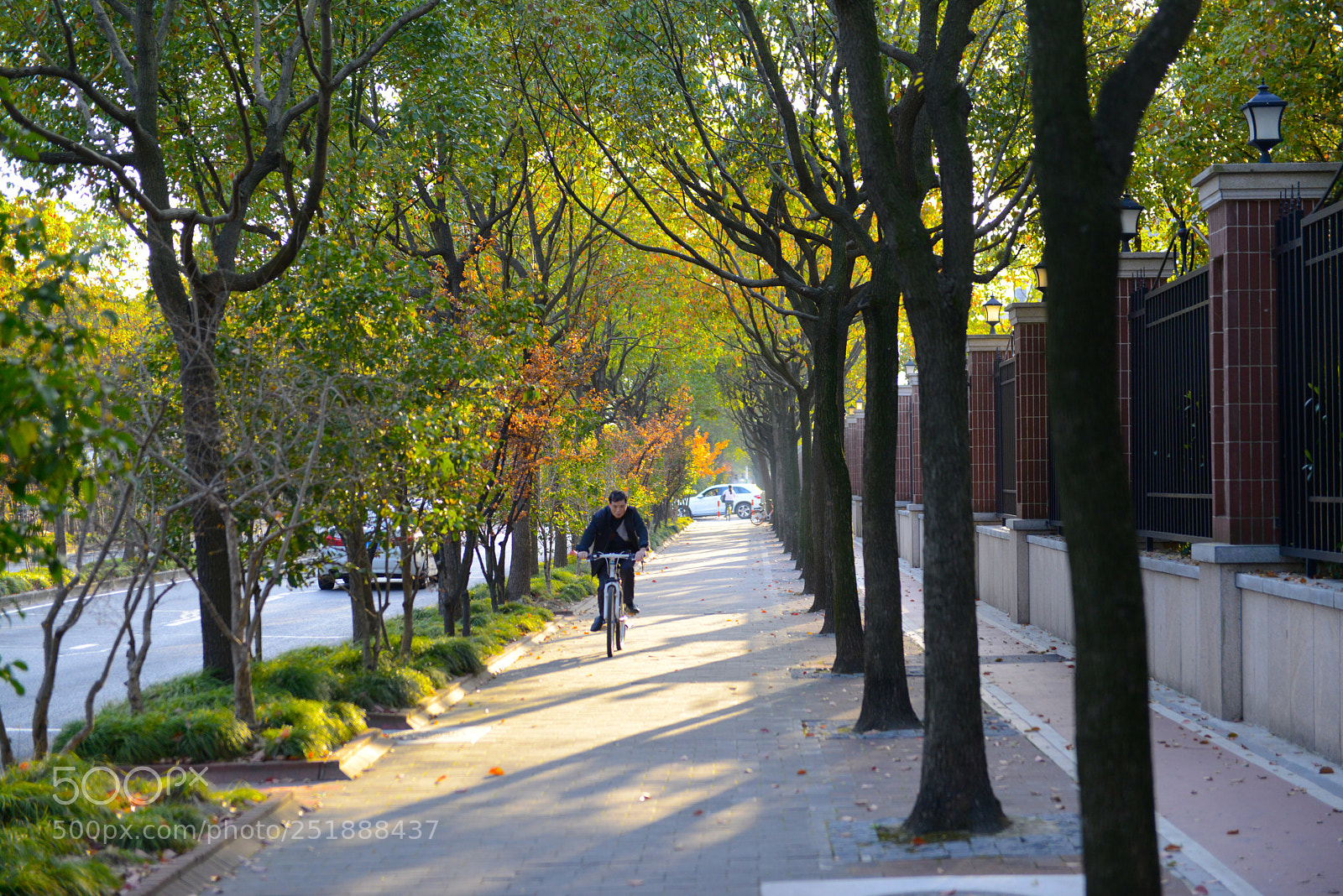 Nikon D800 sample photo. Untitled photography