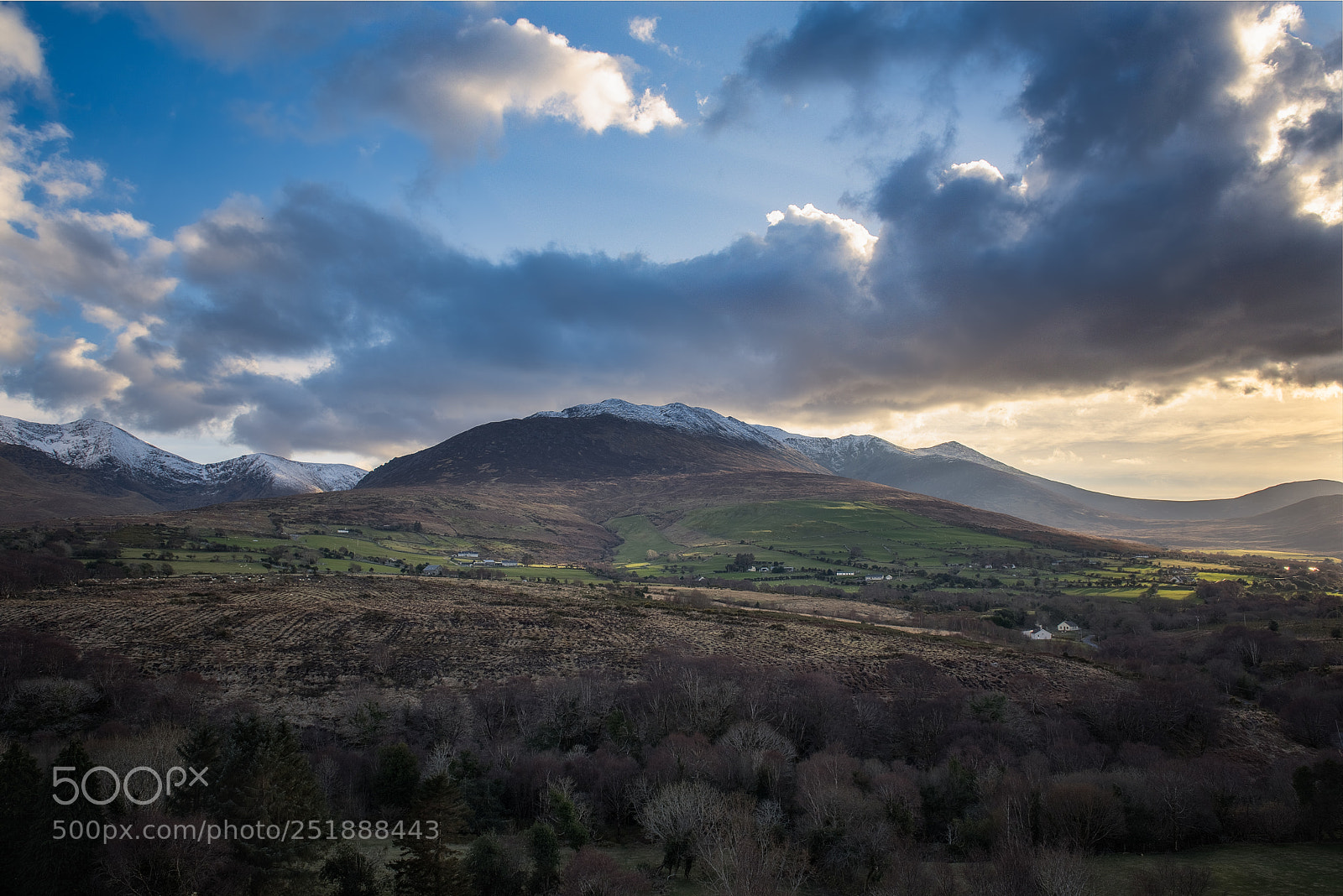 Nikon D810 sample photo. View from cronins yard photography