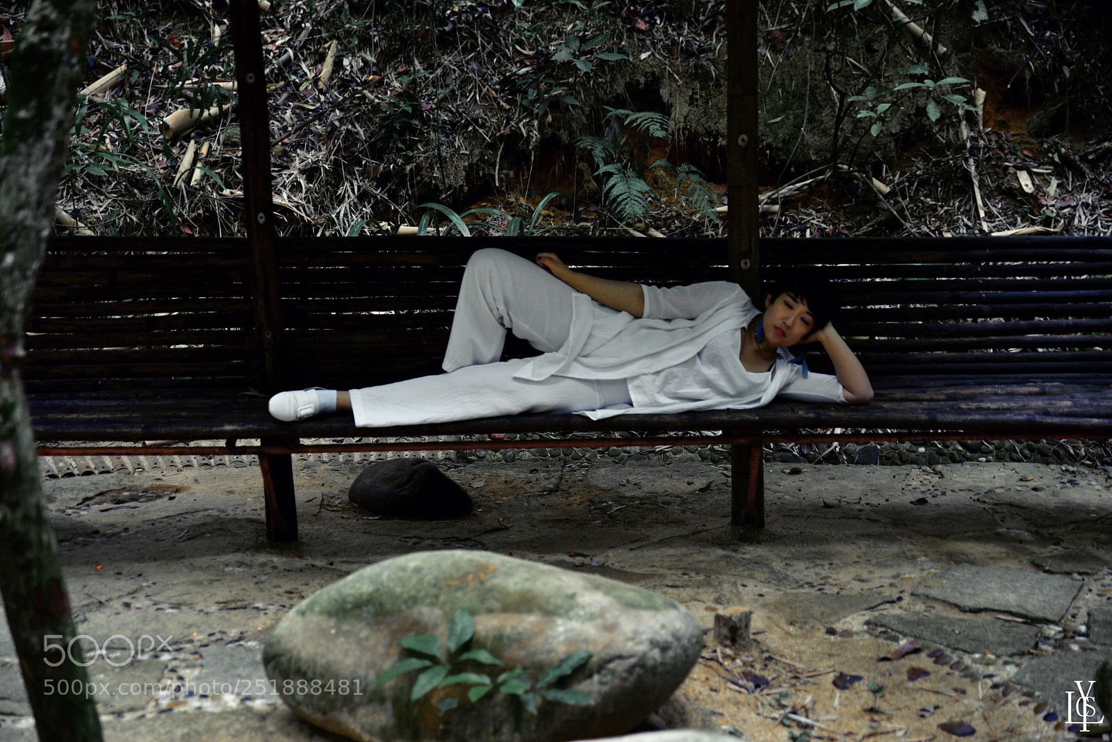 Nikon D810 sample photo. 林间小憩 photography