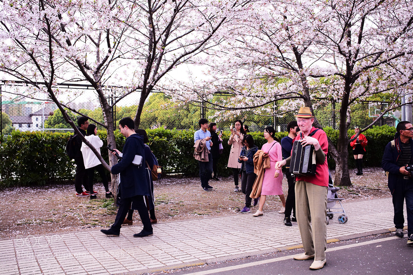 Leica M (Typ 240) sample photo. Untitled photography