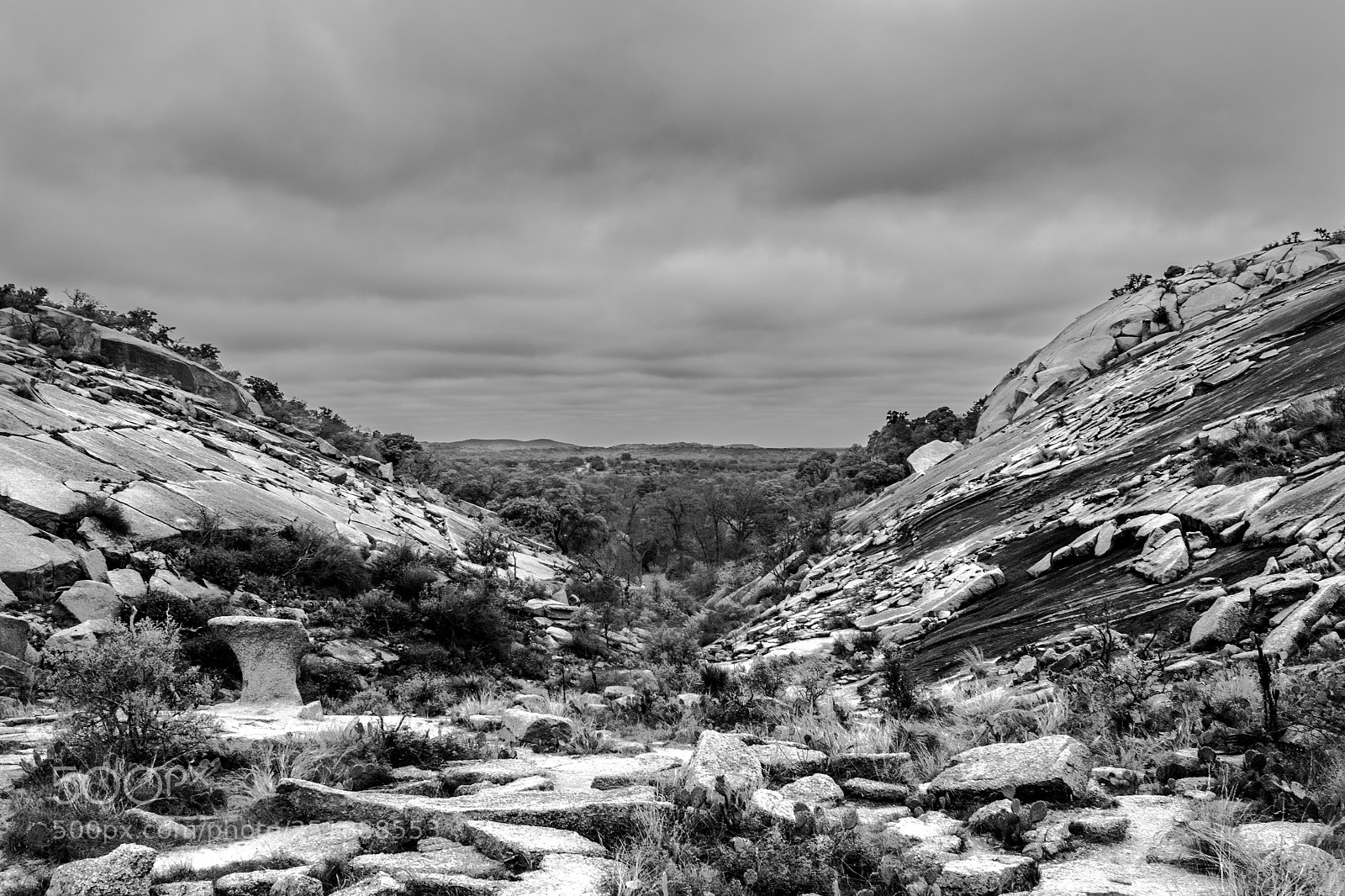 Nikon D5300 sample photo. Rough conditions photography