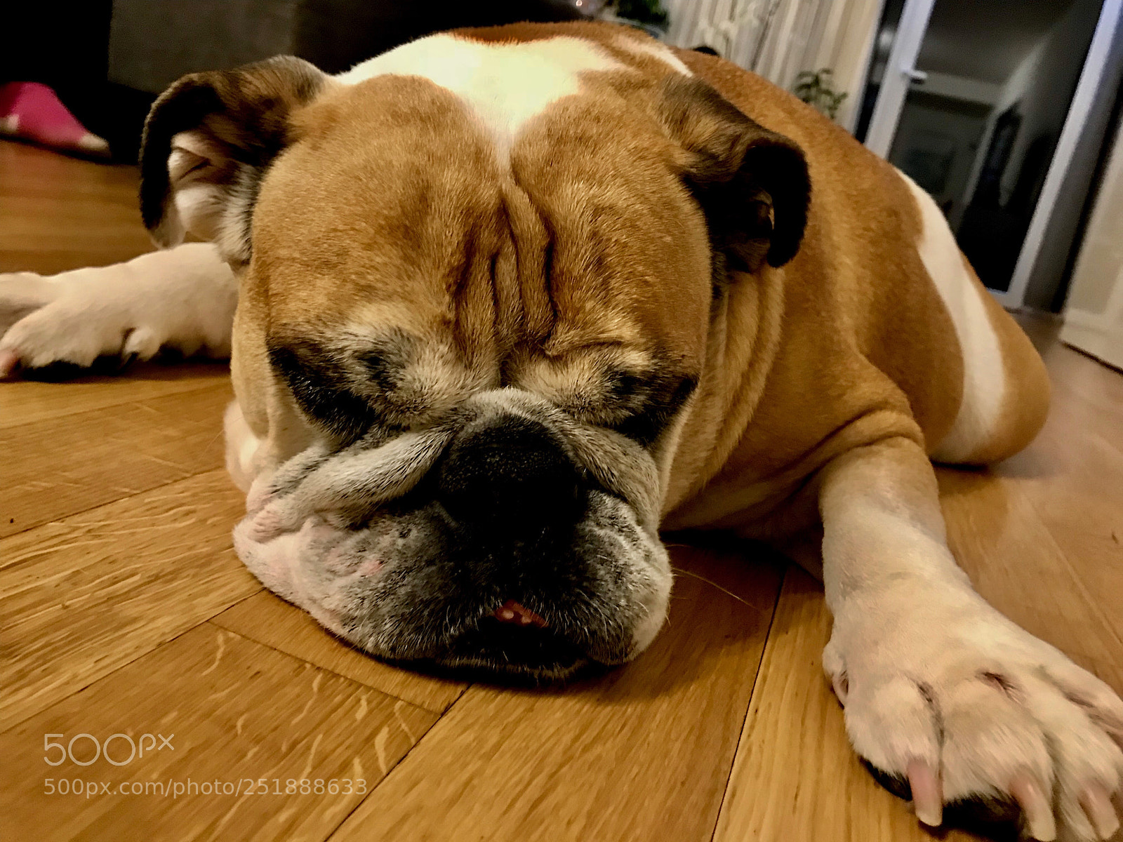 Apple iPhone 7 sample photo. Emma photography