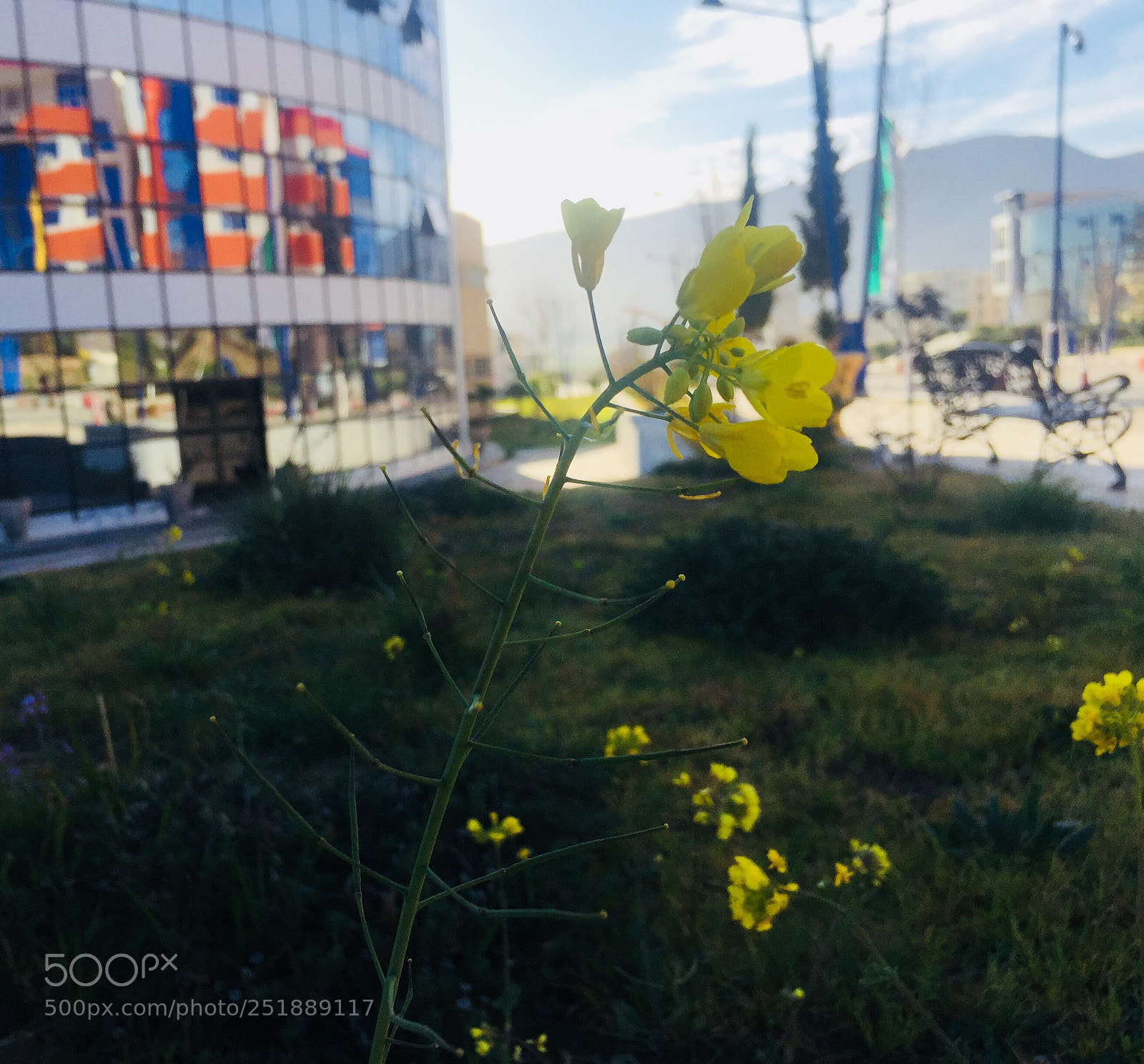 Apple iPhone 6 sample photo. Nature - unv batna2 - photography