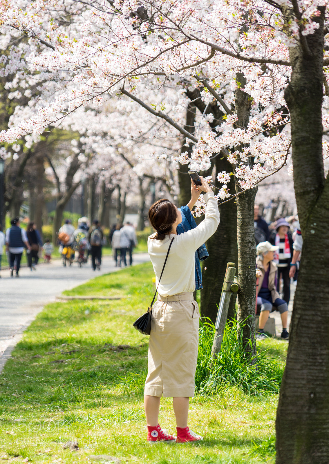 Sony a7 II sample photo. 名称未設定 photography