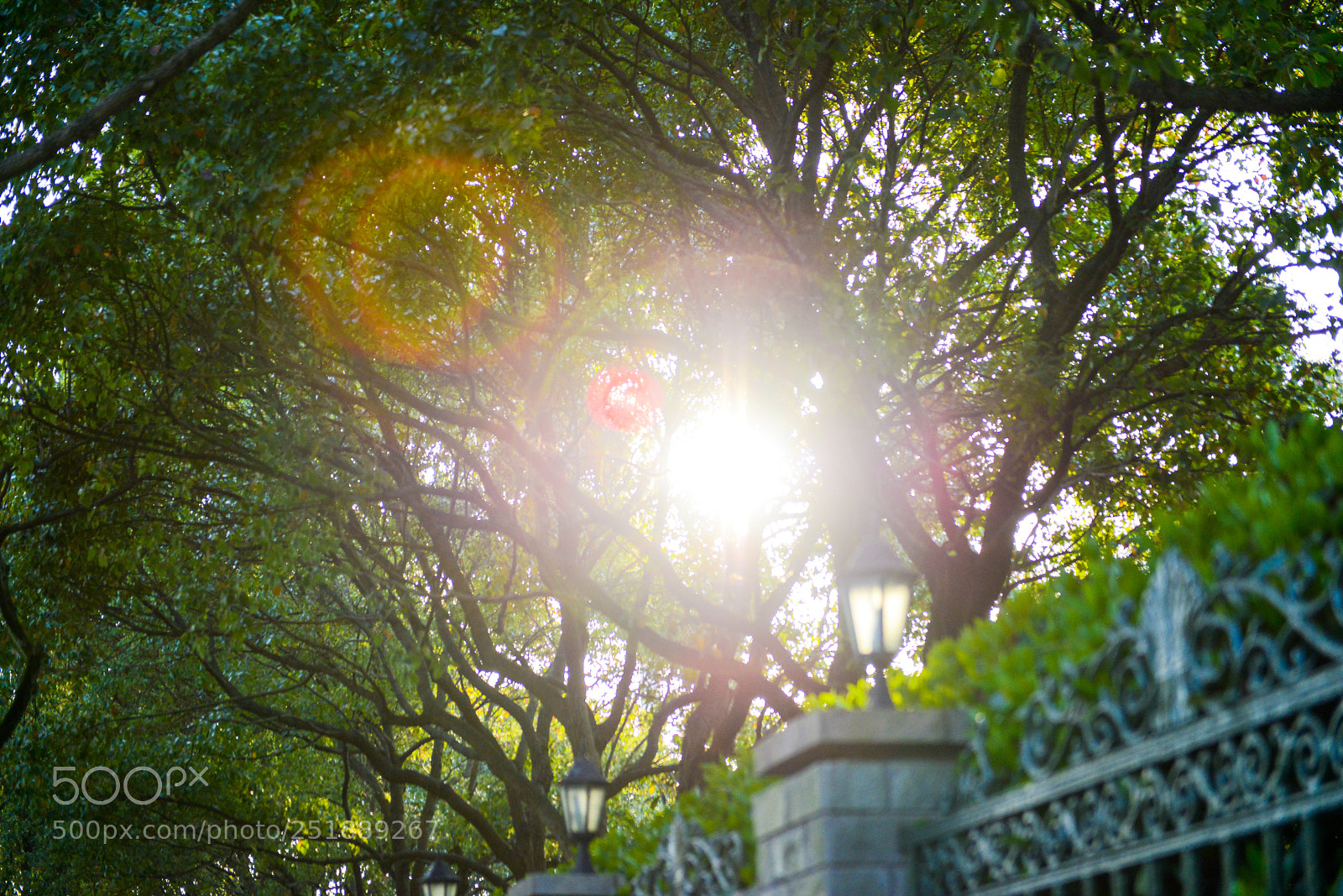 Nikon D800 sample photo. Untitled photography