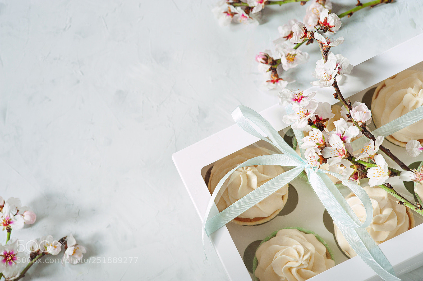 Nikon D700 sample photo. A feminine tea party photography