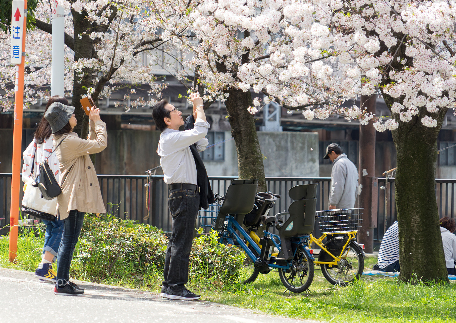Sony a7 II sample photo. 名称未設定 photography
