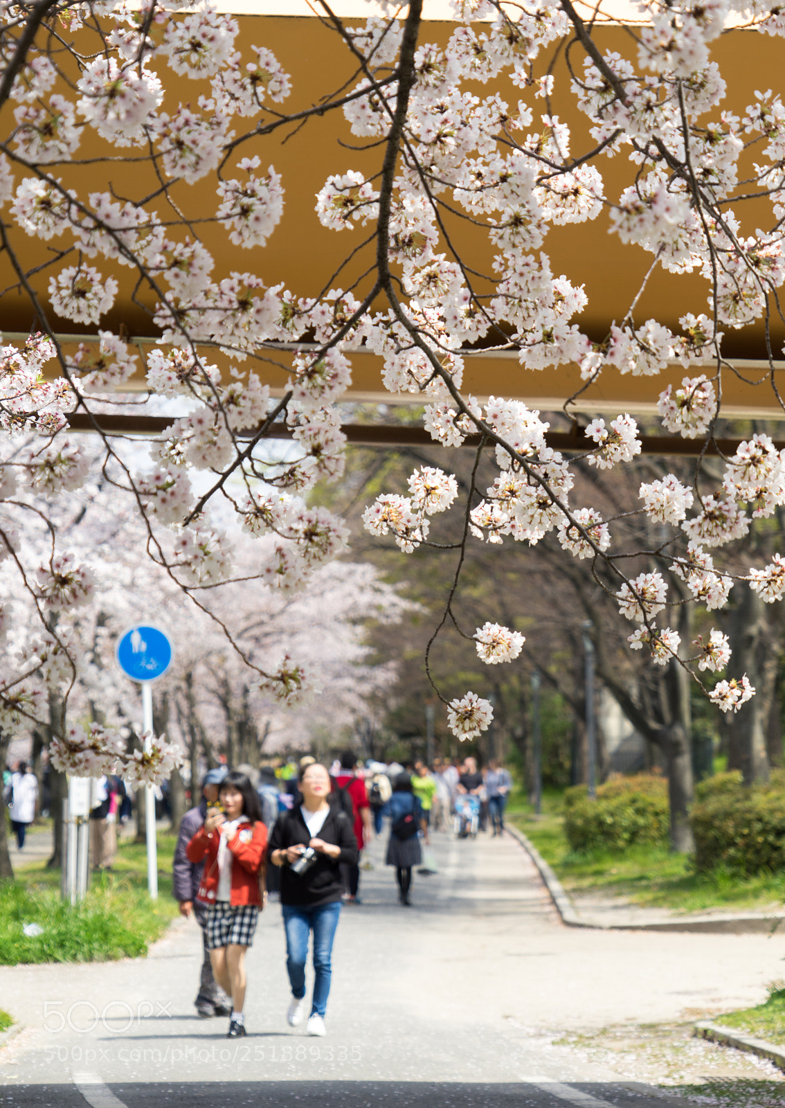 Sony a7 II sample photo. 名称未設定 photography