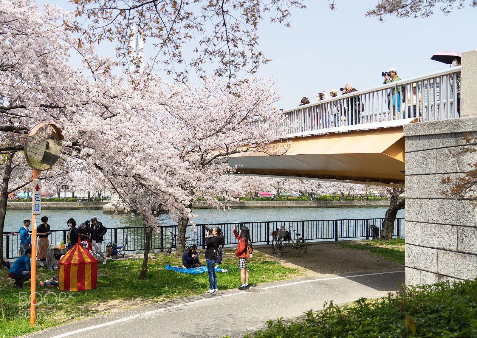 Sony a7 II sample photo. 名称未設定 photography