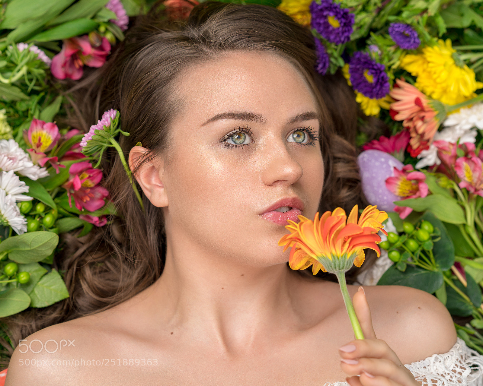 Sony a7 II sample photo. Mel photography