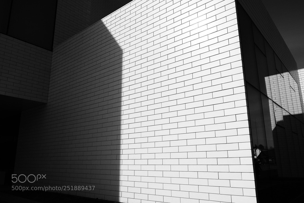 Fujifilm X-T2 sample photo. Untitled photography
