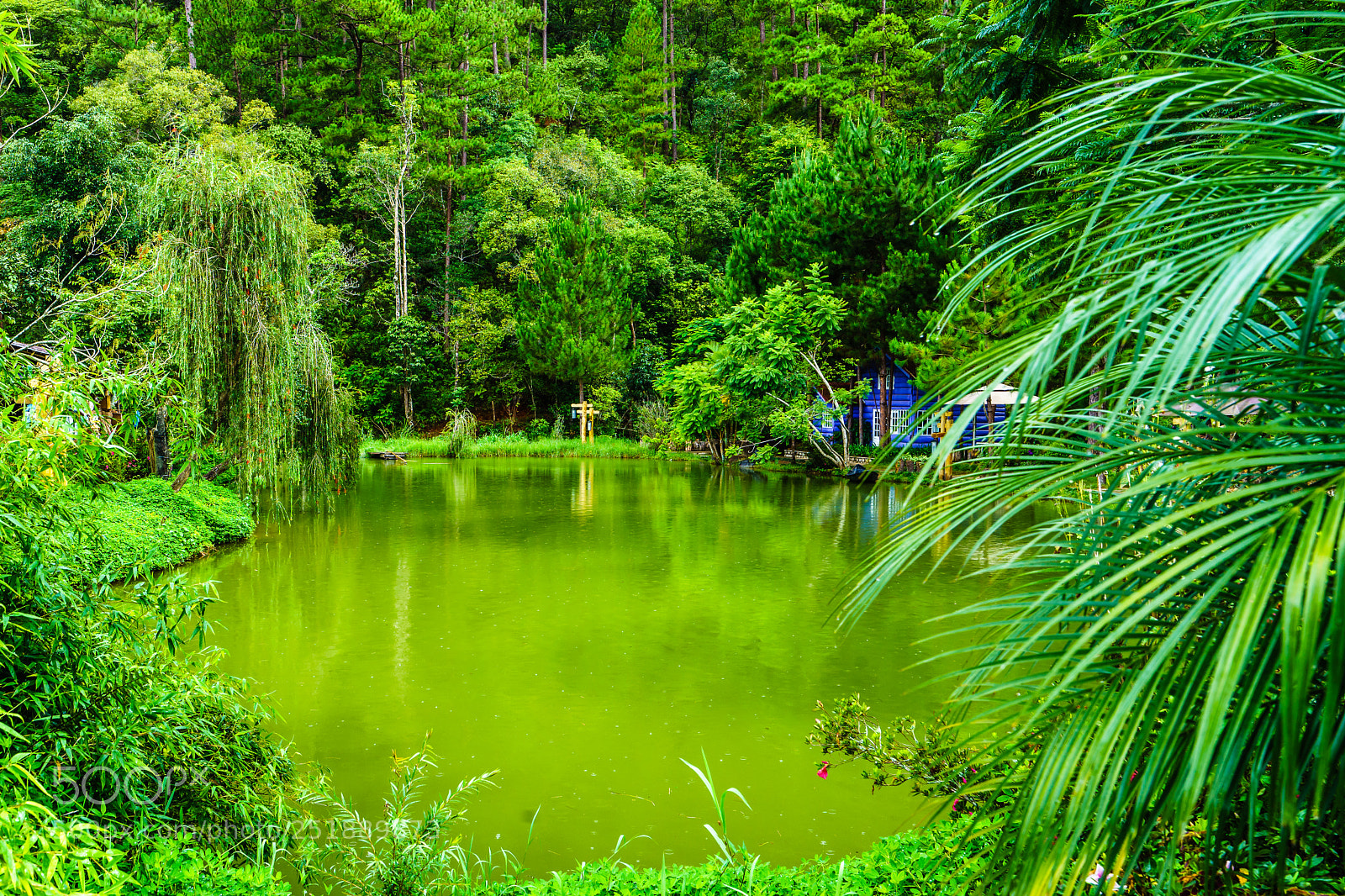 Sony a7 II sample photo. Untitled photography