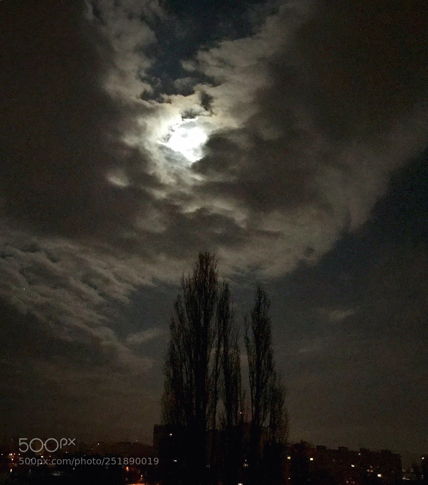 Apple iPhone 7 sample photo. Untitled photography