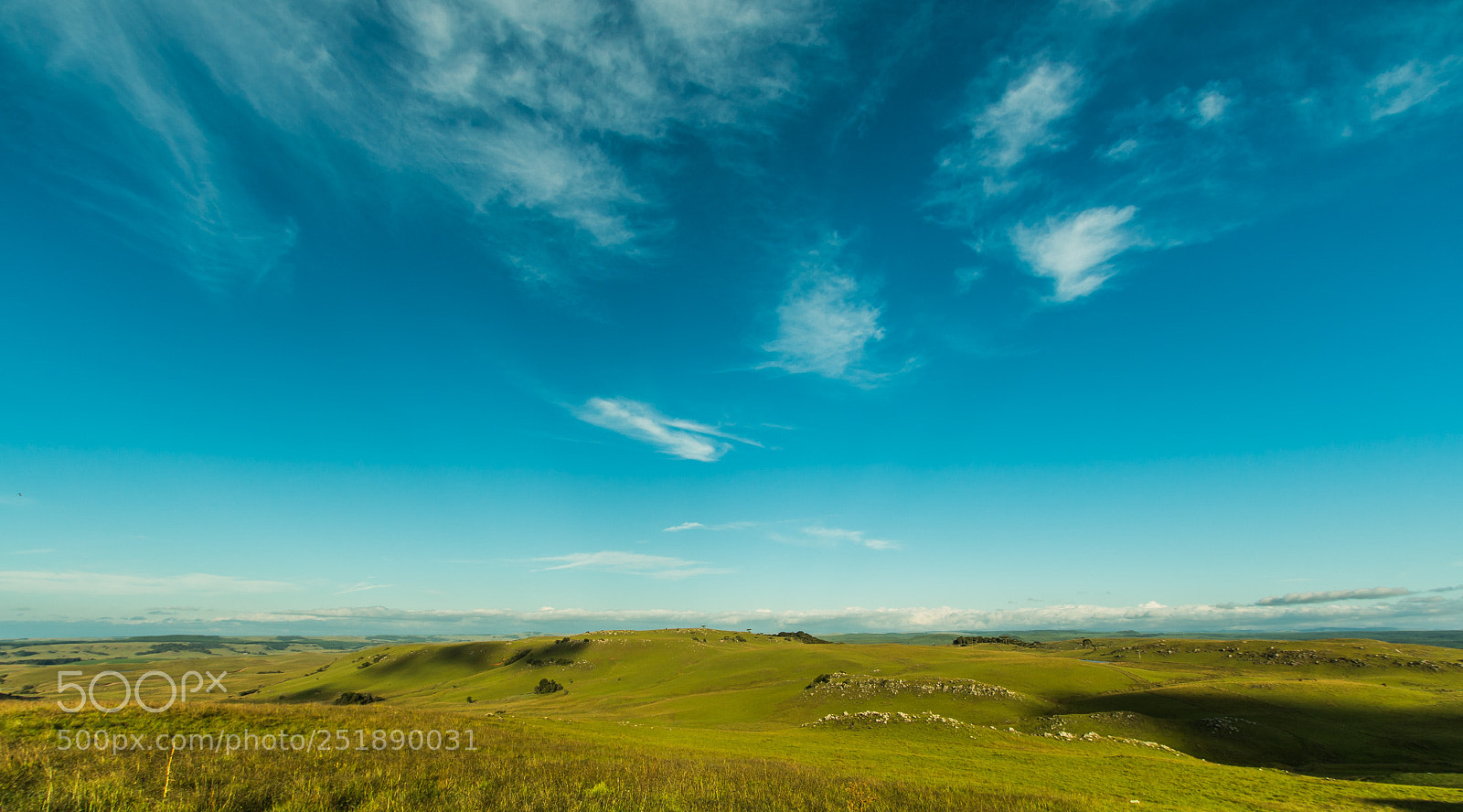 Canon EOS 70D sample photo. Paisagem campeira - campos photography