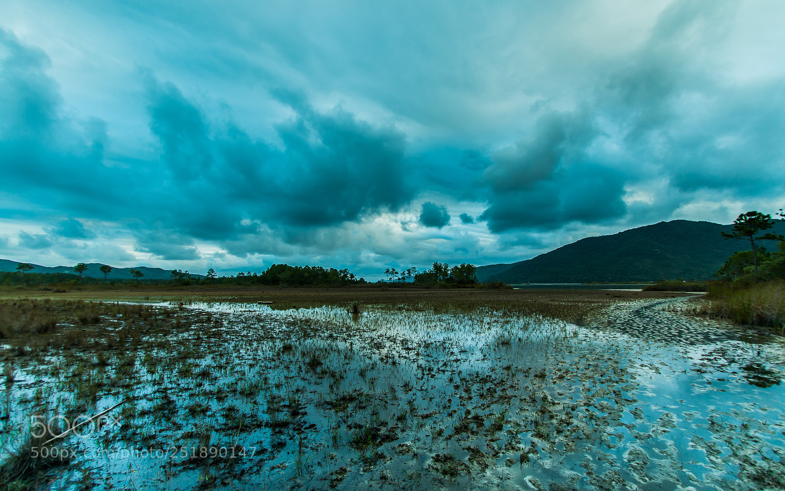 Canon EOS 70D sample photo. Lagoa da concei o photography