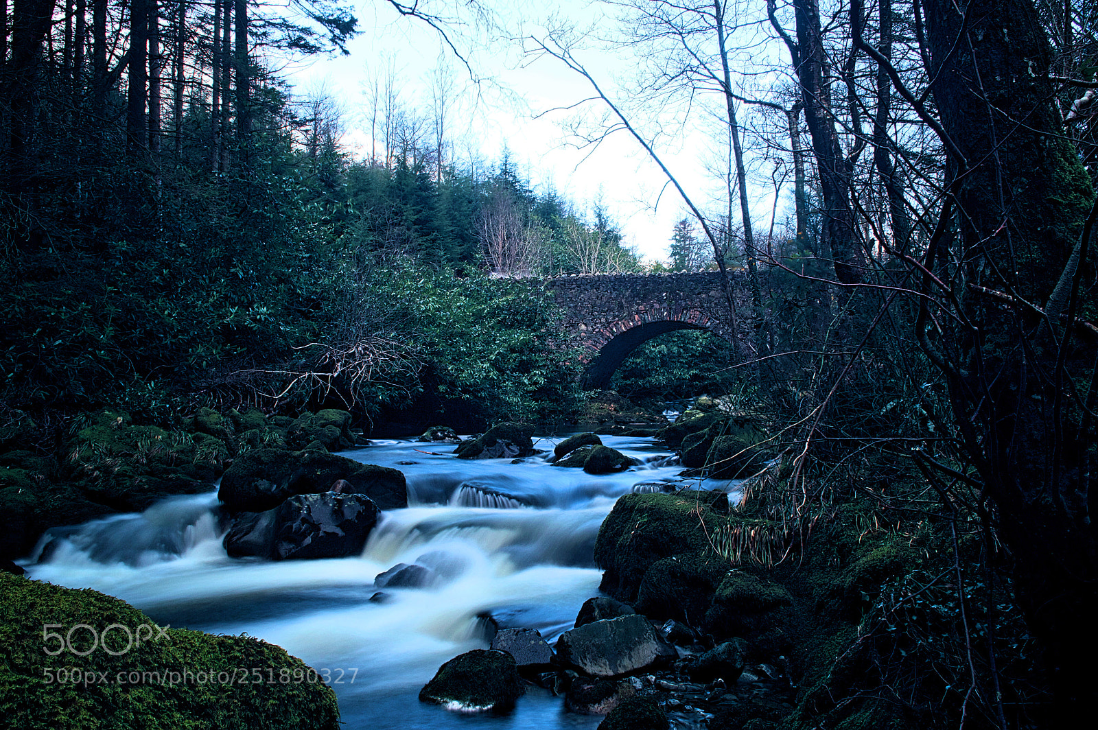 Nikon D3200 sample photo. Tollymore bridge photography