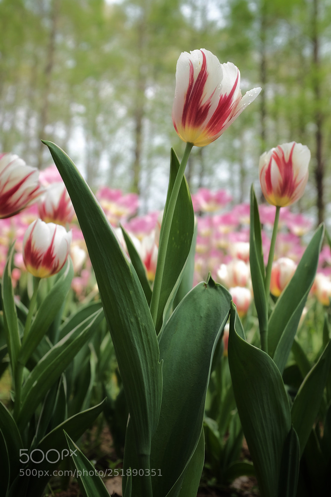 Fujifilm X100S sample photo. Untitled photography