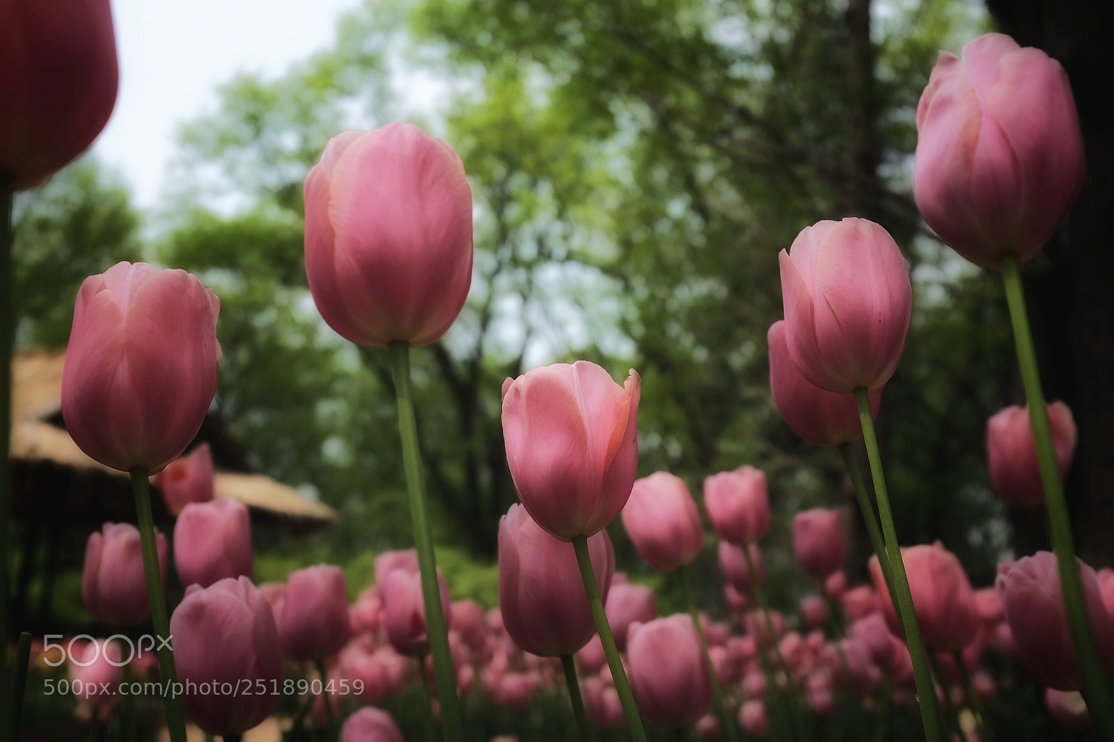 Fujifilm X100S sample photo. Untitled photography