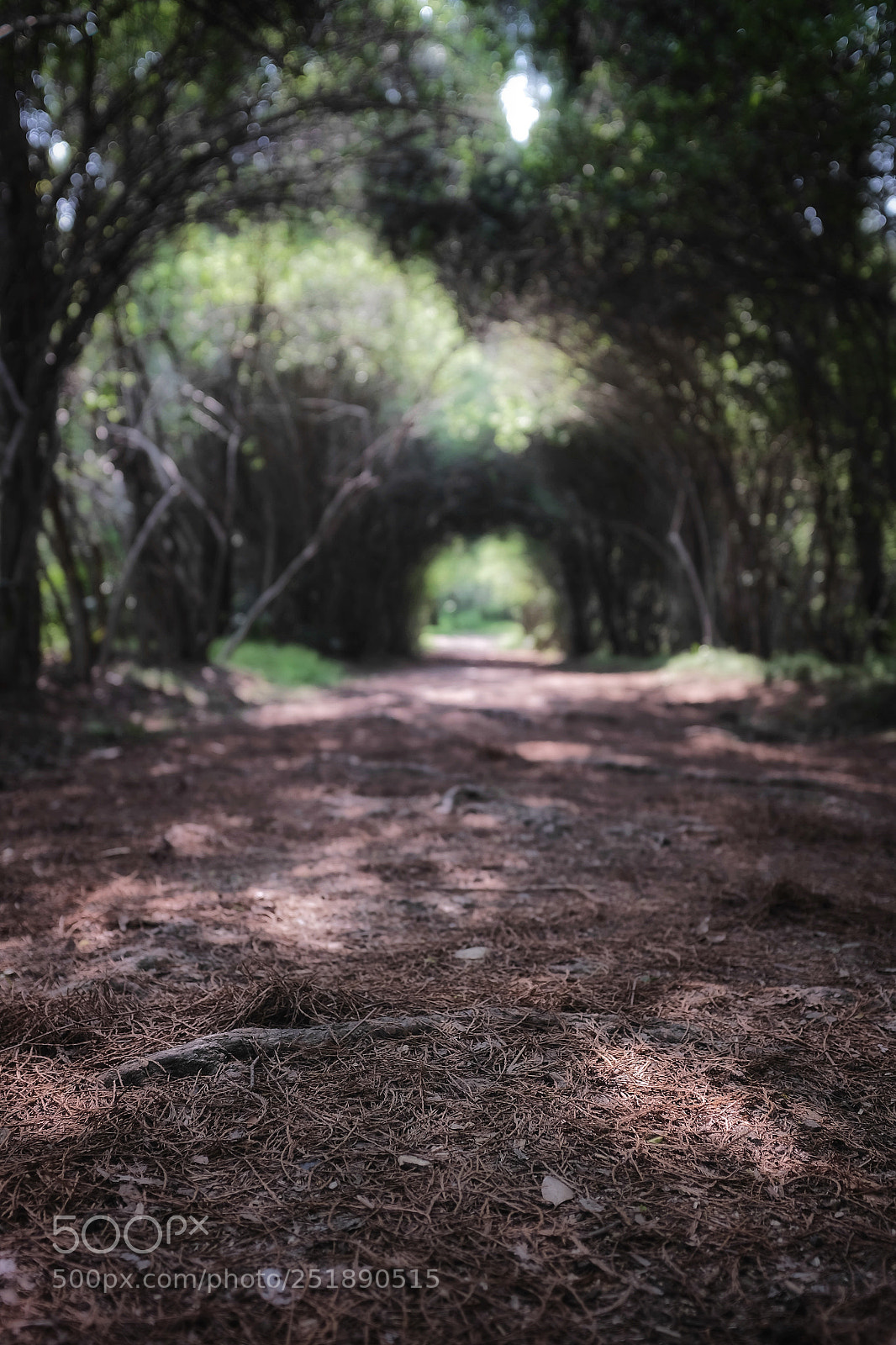 Fujifilm X100S sample photo. Untitled photography