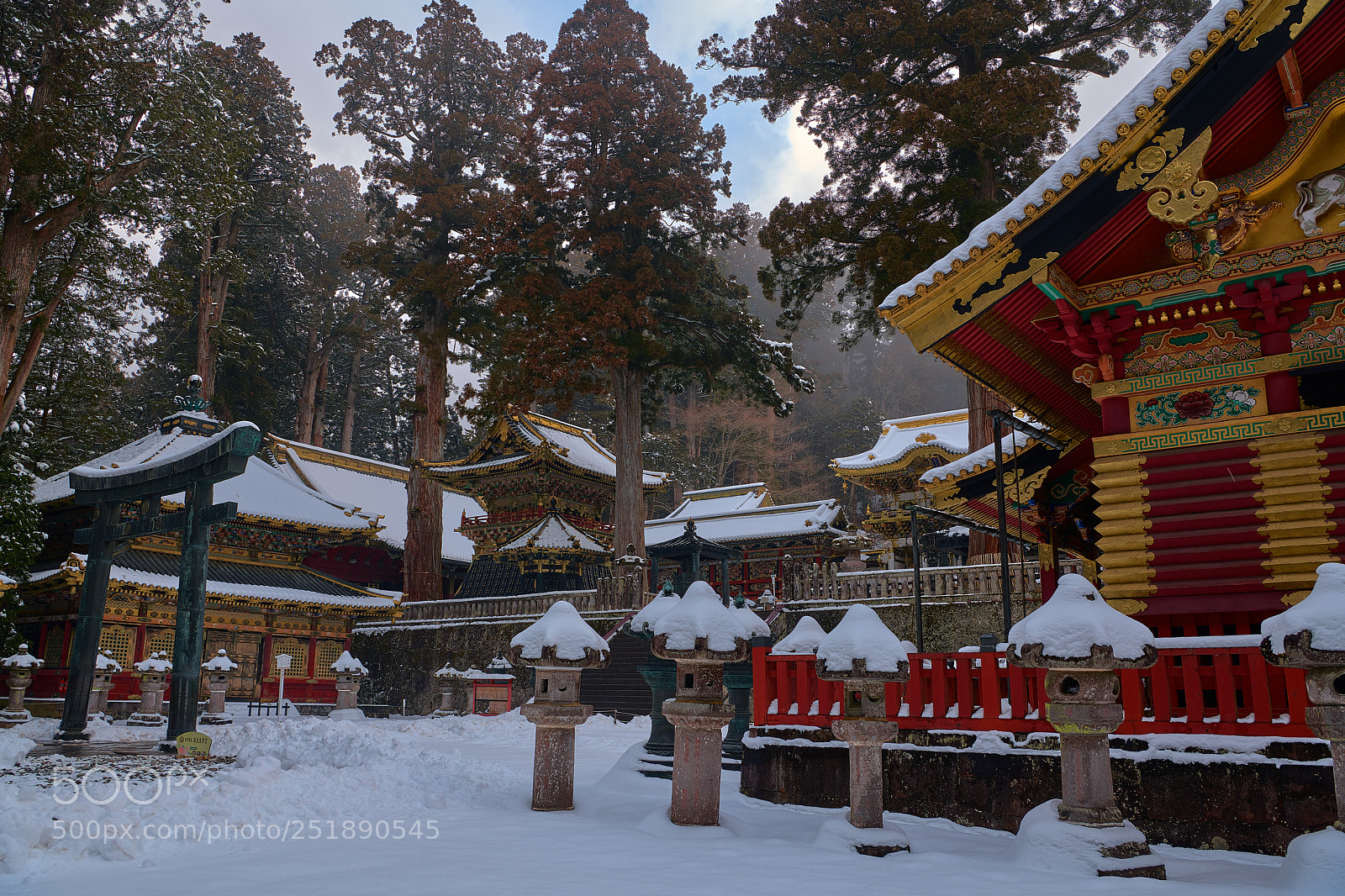 Nikon D850 sample photo. Shogun's era photography