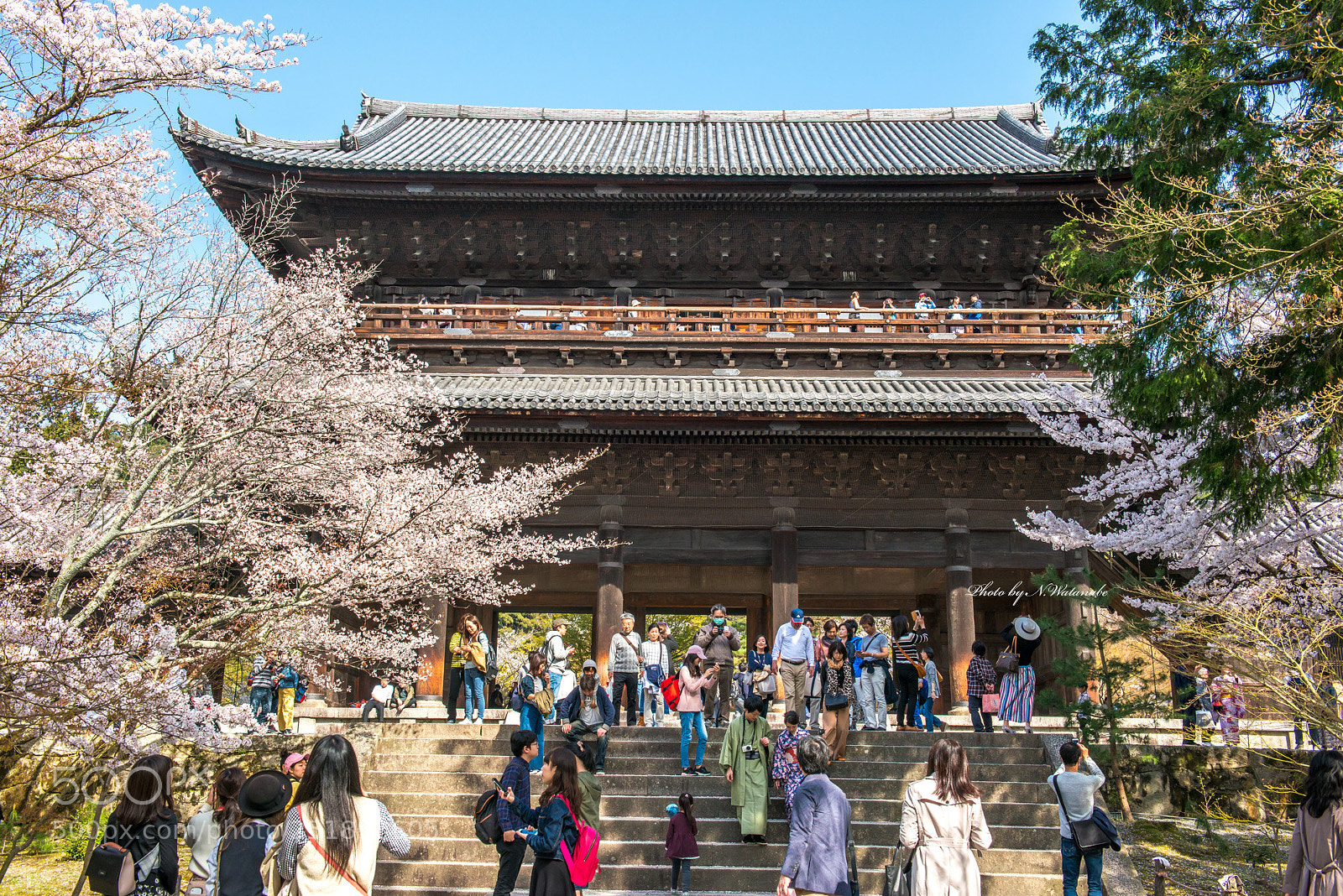 Nikon D800 sample photo. 京都南禅寺 photography