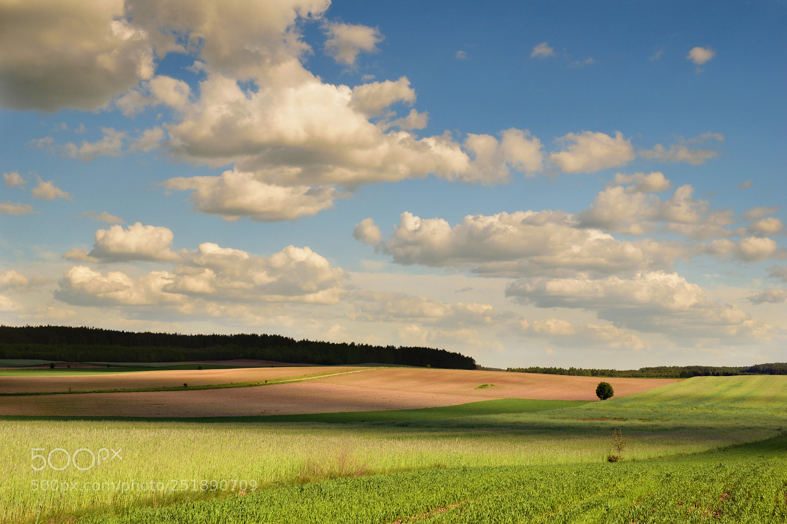 Nikon D3300 sample photo. Summer photography