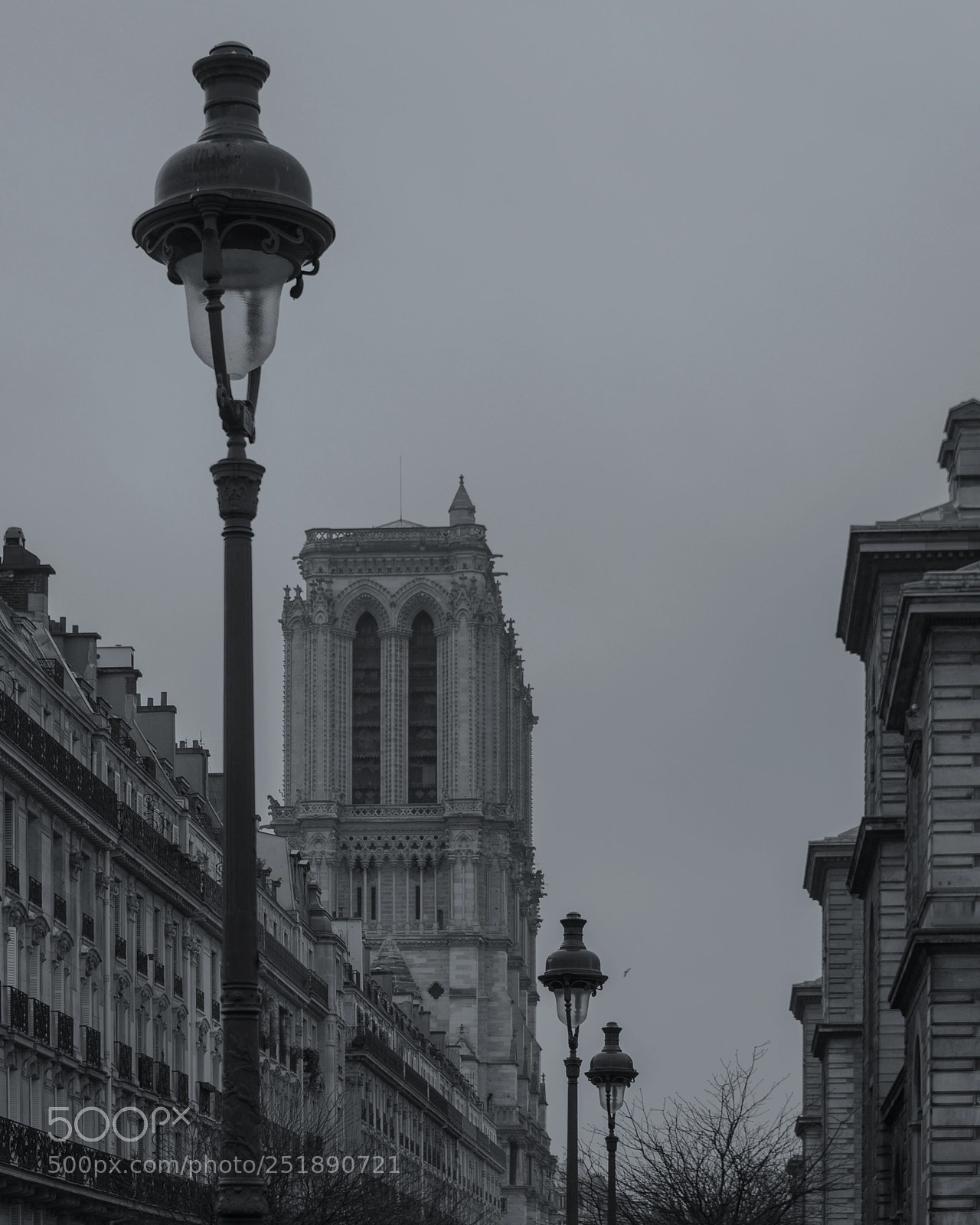 Nikon D800 sample photo. Rue d'arcole photography