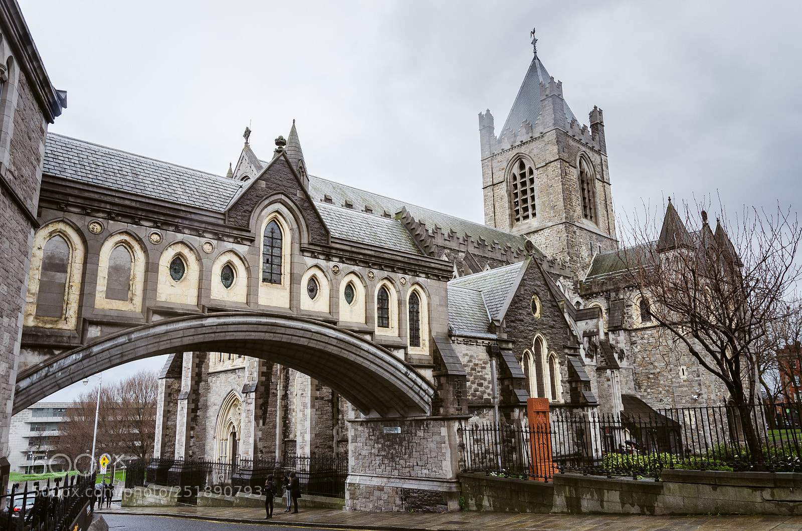 Nikon D5100 sample photo. Dublin photography