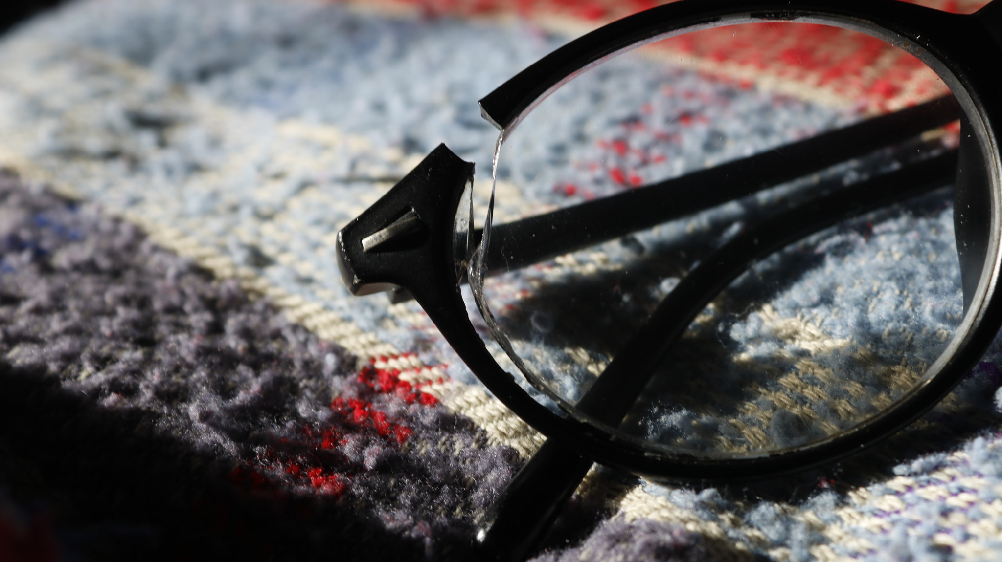 Canon EOS 750D (EOS Rebel T6i / EOS Kiss X8i) sample photo. Live your life photography