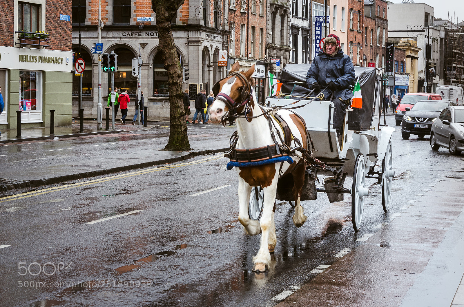 Nikon D5100 sample photo. Dublin photography