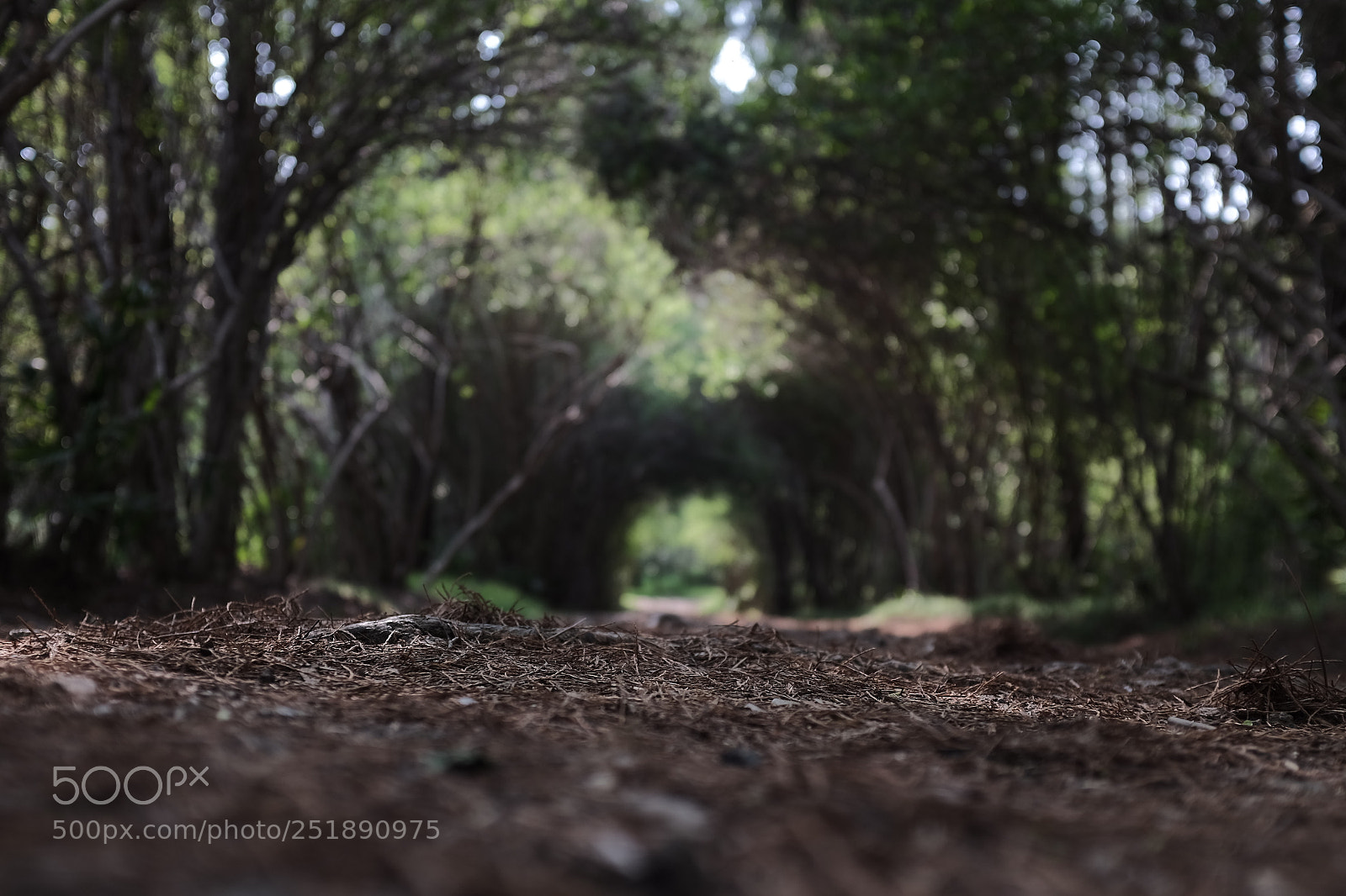 Fujifilm X100S sample photo. Untitled photography