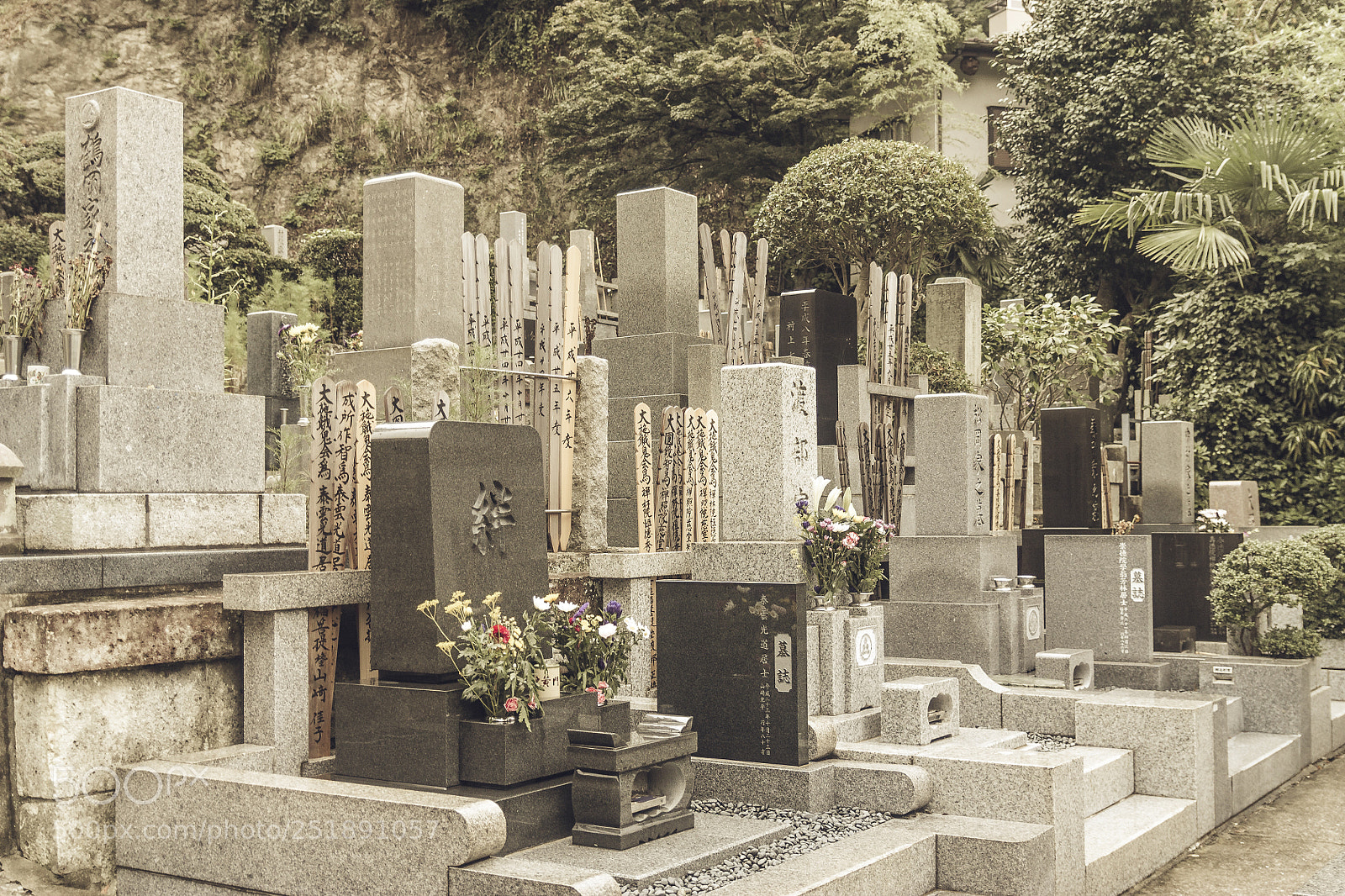 Canon EOS 450D (EOS Rebel XSi / EOS Kiss X2) sample photo. Cementery at kamakura photography