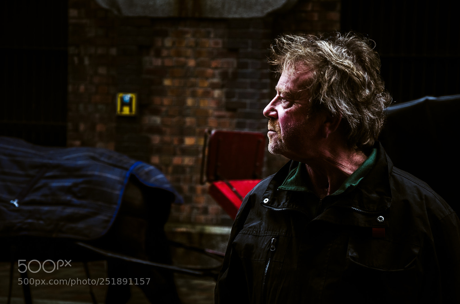 Nikon D5100 sample photo. Dublin photography