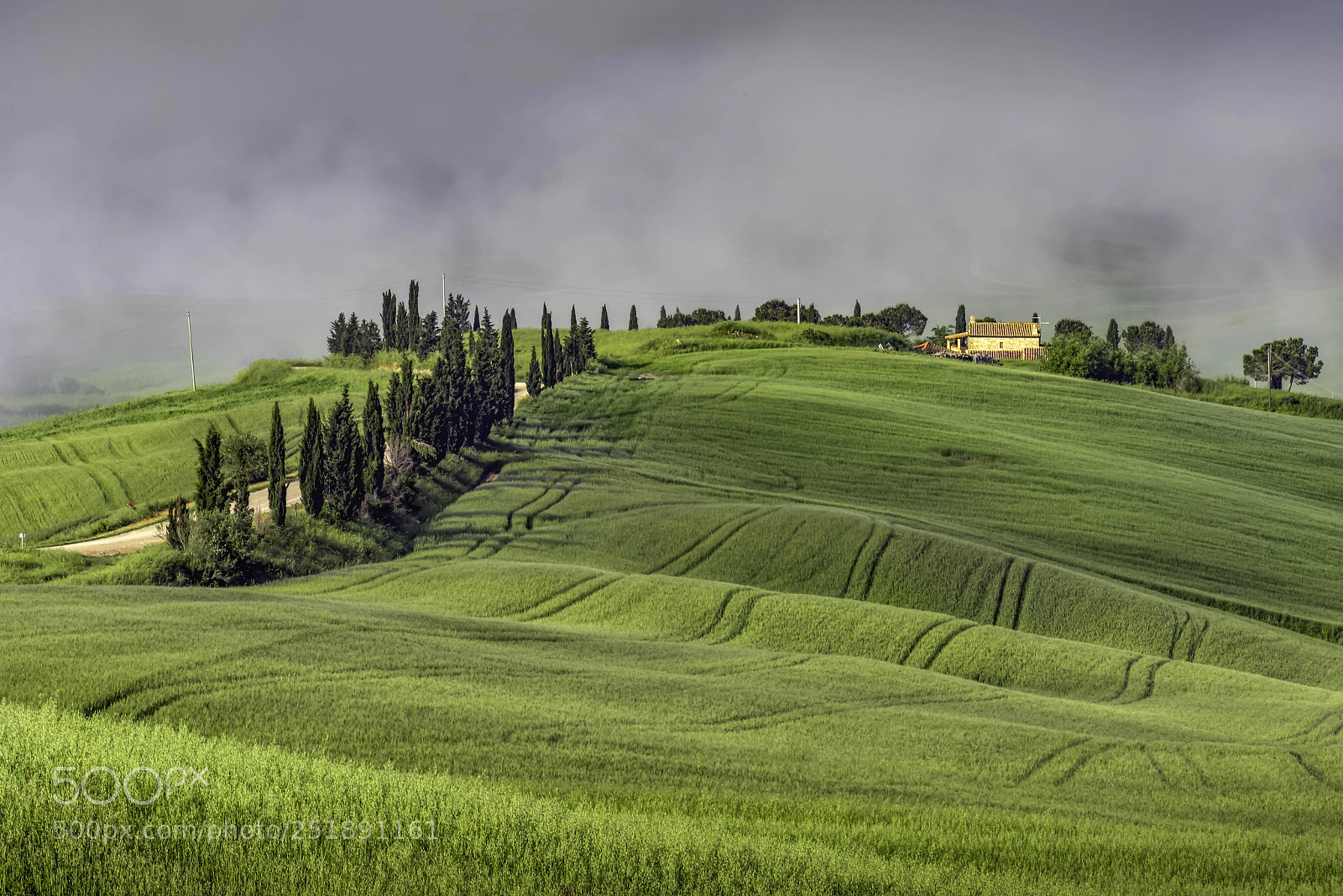 Nikon D800 sample photo. Val d'orcia, tuscany italy photography