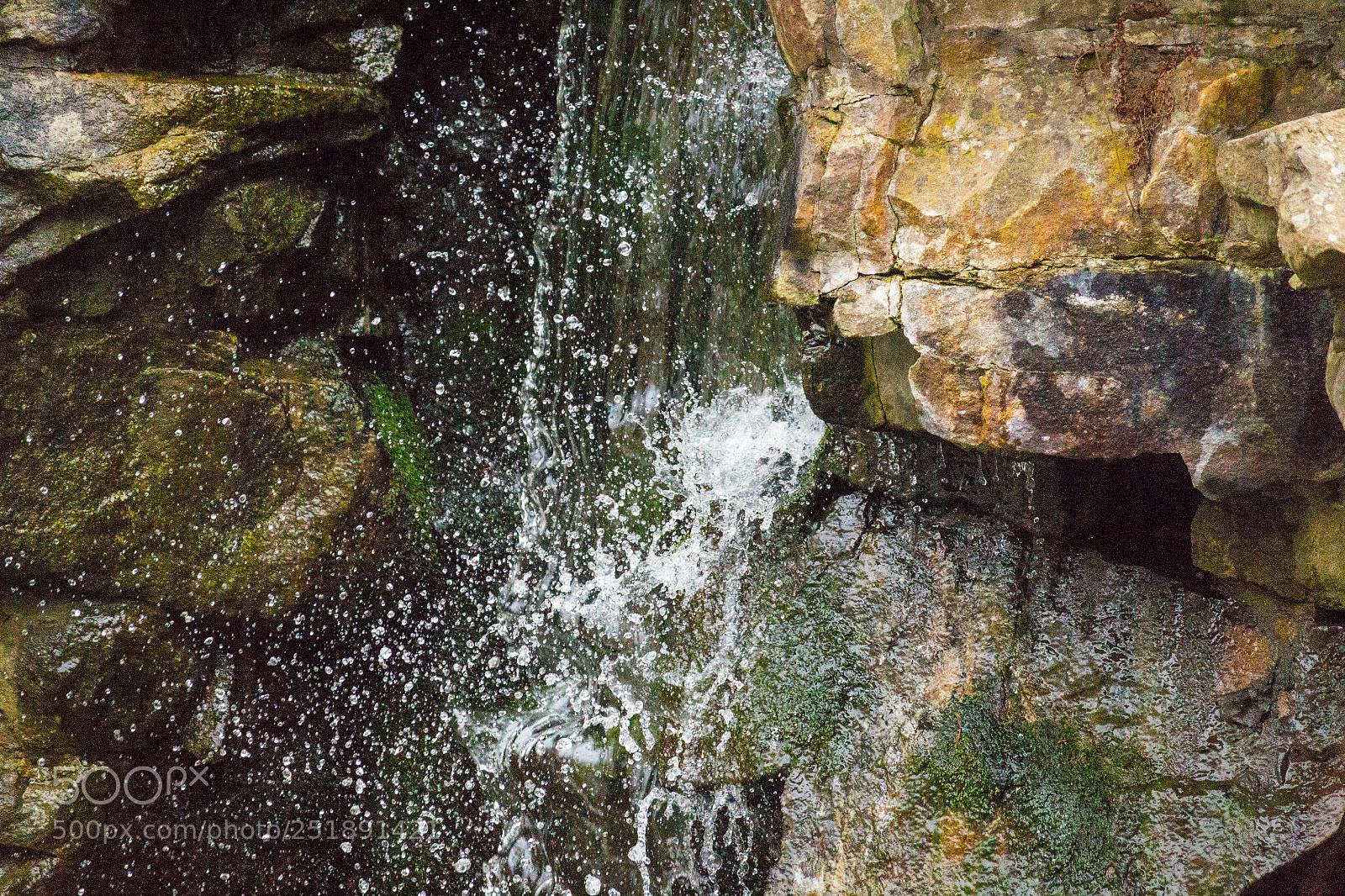 Canon EOS 700D (EOS Rebel T5i / EOS Kiss X7i) sample photo. Splish splash photography
