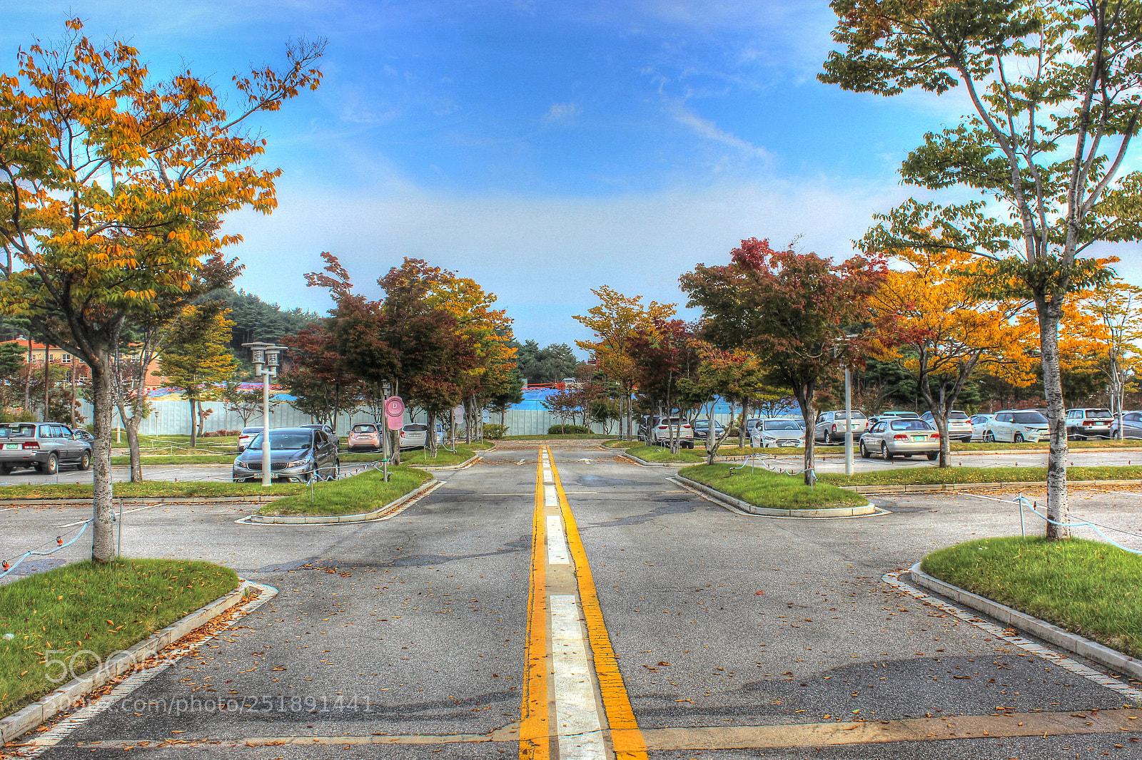 Canon EOS 600D (Rebel EOS T3i / EOS Kiss X5) sample photo. Fall photography