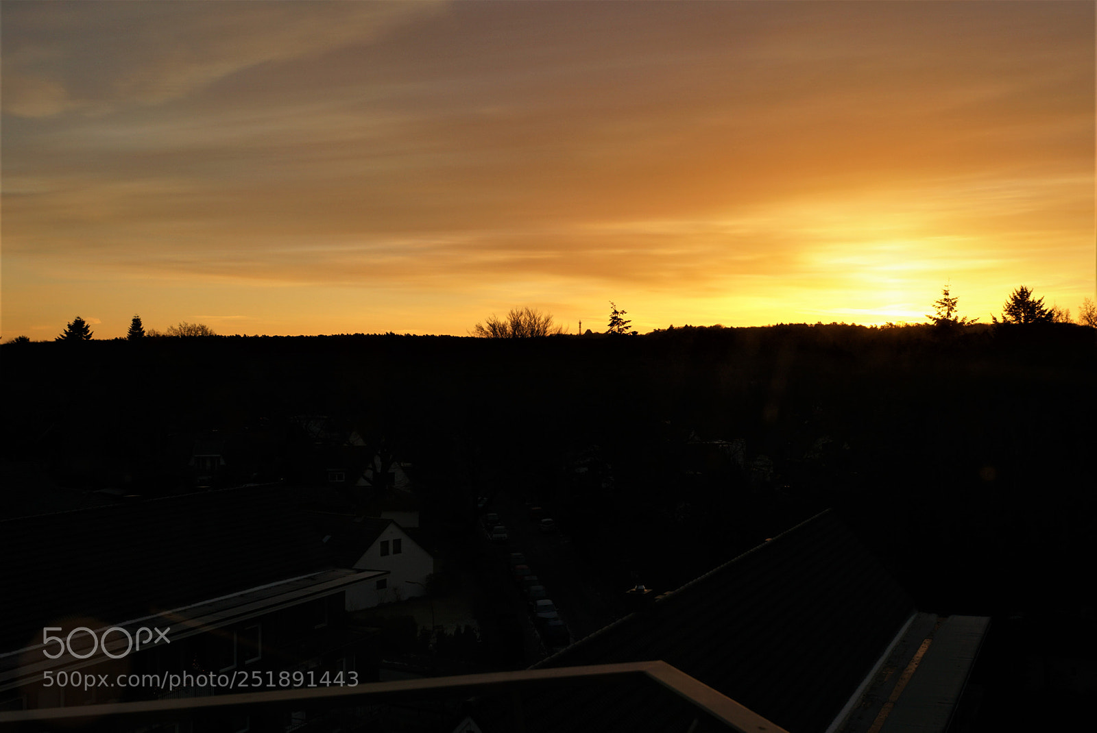 Sony DT 16-50mm F2.8 SSM sample photo. () photography