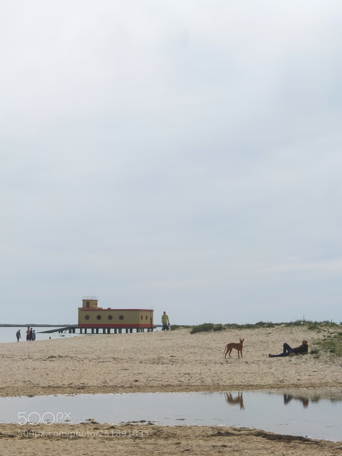 Fujifilm X10 sample photo. Fuseta photography