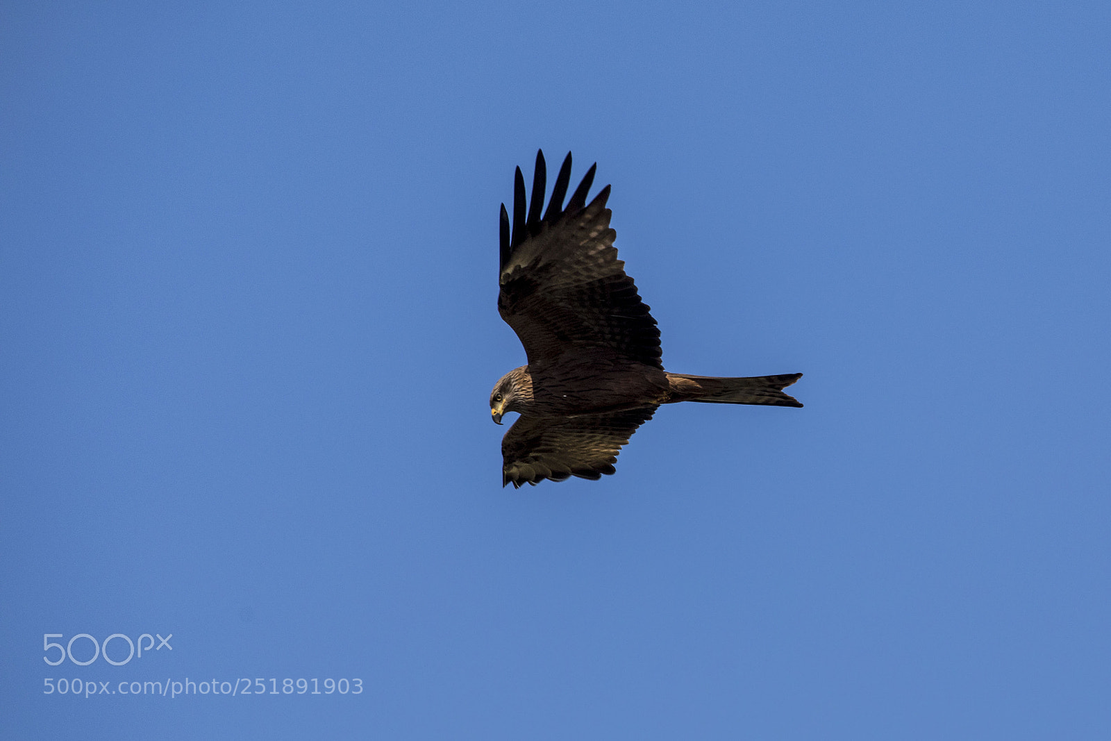 Canon EOS 5D Mark IV sample photo. Milhafre real photography