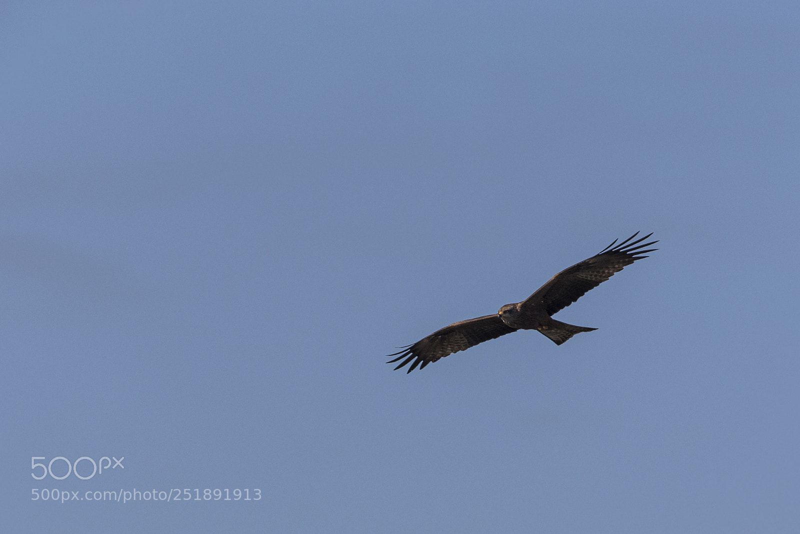 Canon EOS 5D Mark IV sample photo. Milhafre real photography