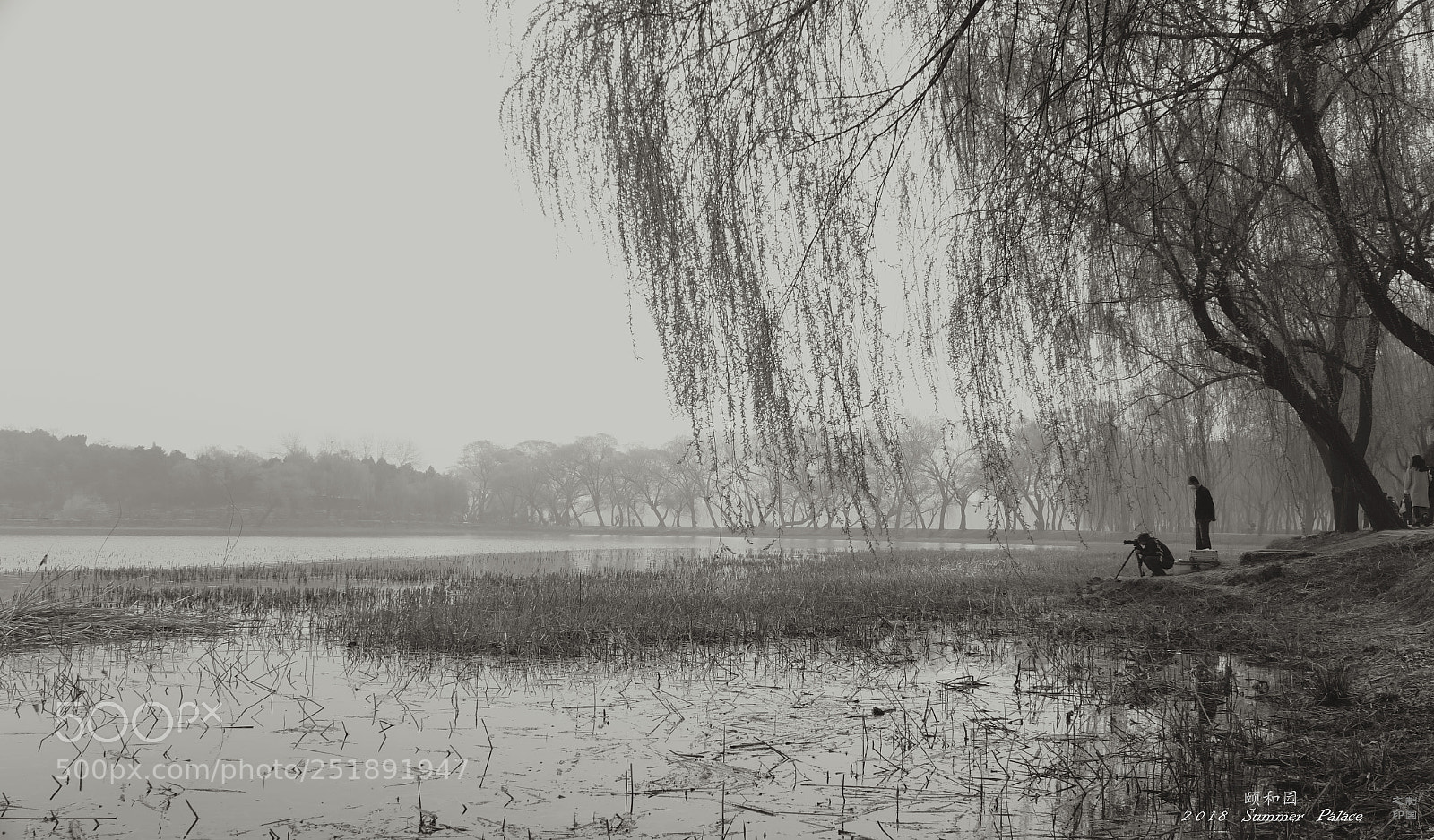 Canon PowerShot G1 X Mark II sample photo. Photographers in summer palace photography