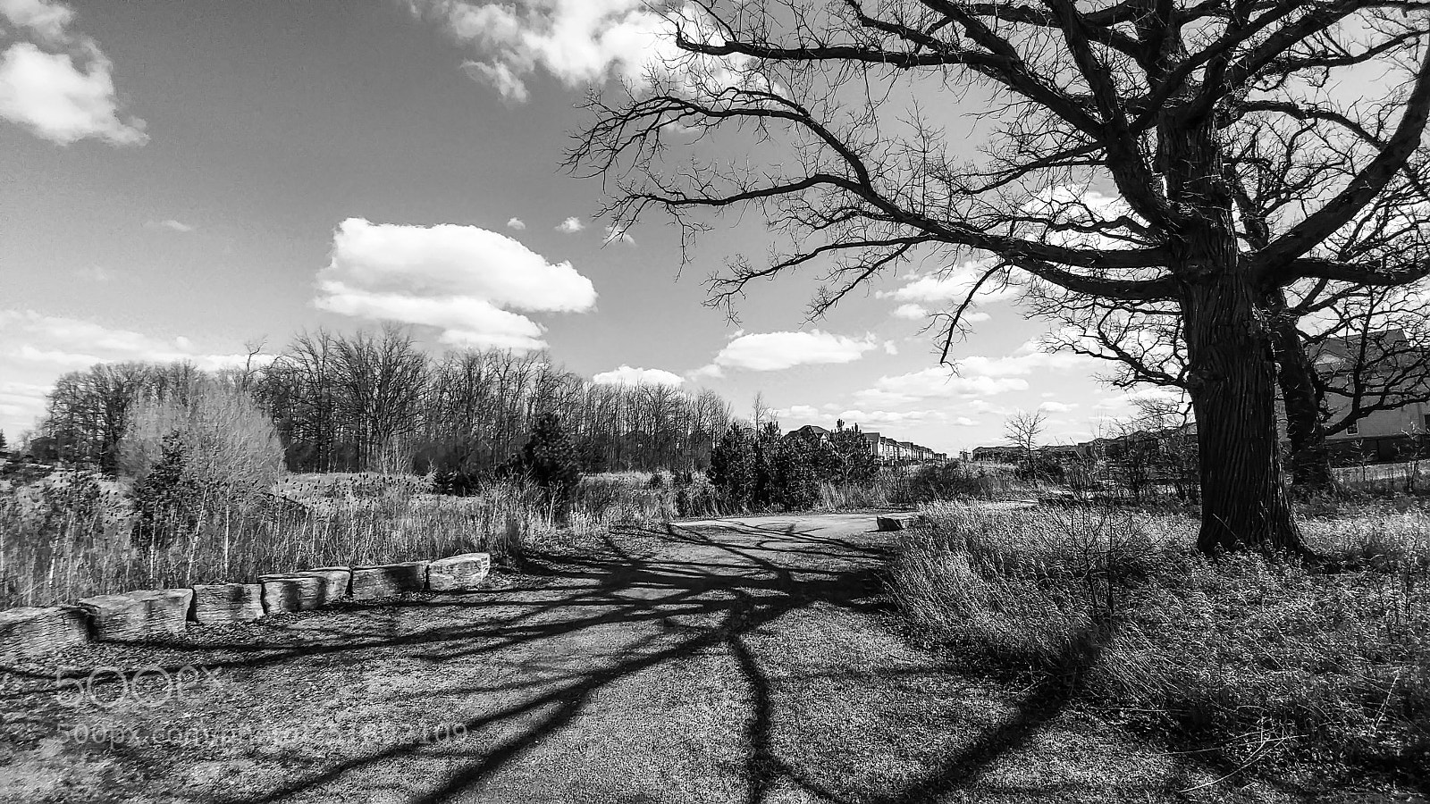 LG G5 sample photo. Milton photography
