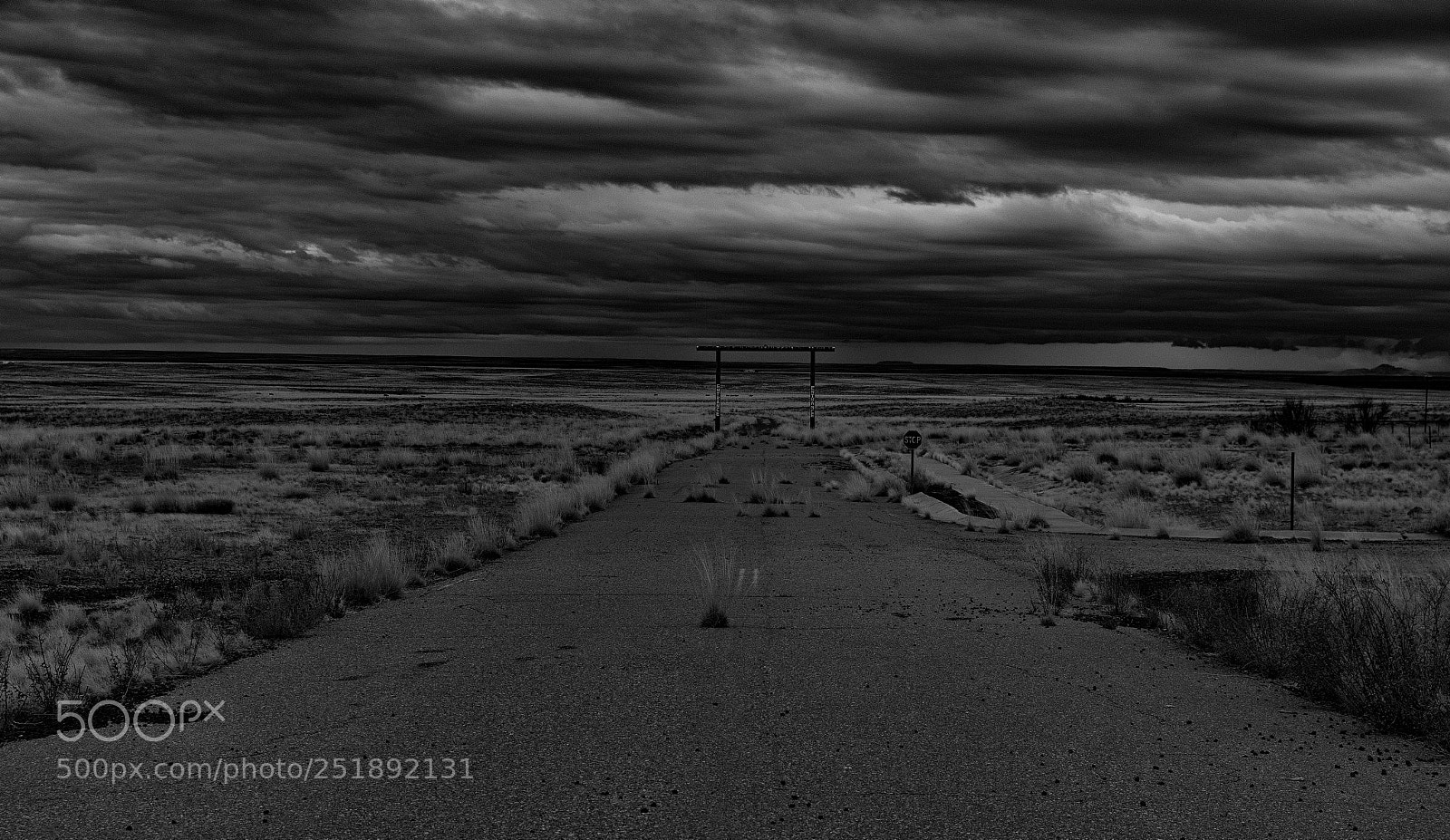 Canon EOS-1D X Mark II sample photo. Road to nowhere part photography