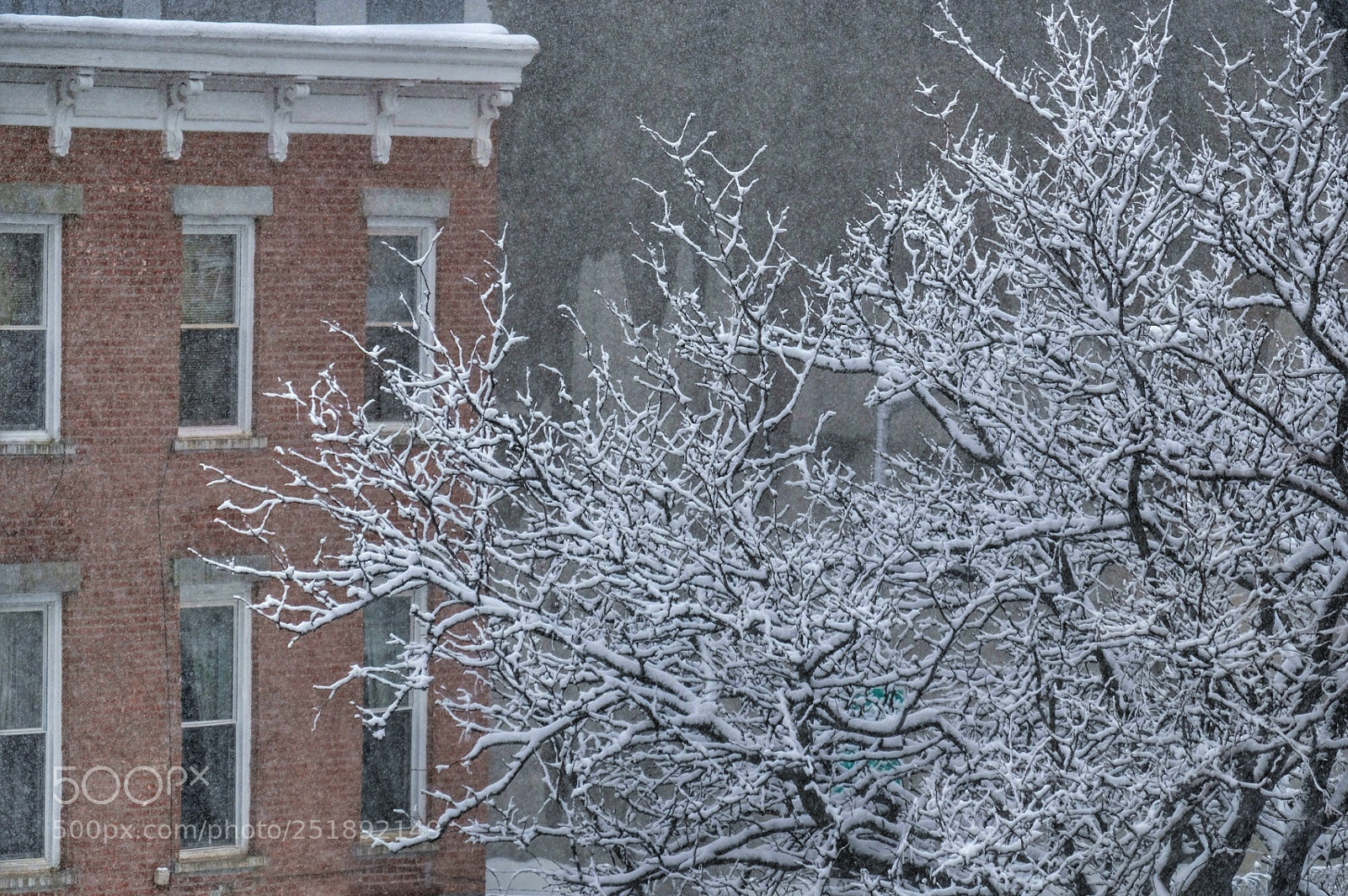 Fujifilm X-E3 sample photo. Snowing in brooklyn 2 photography