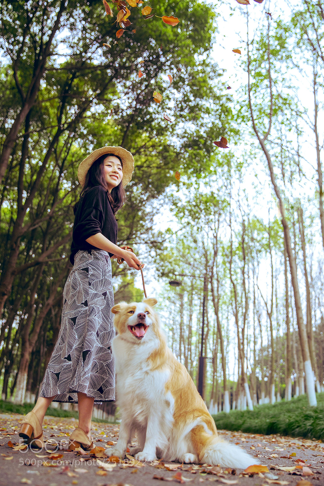 Canon EOS 5D Mark IV sample photo. Untitled photography