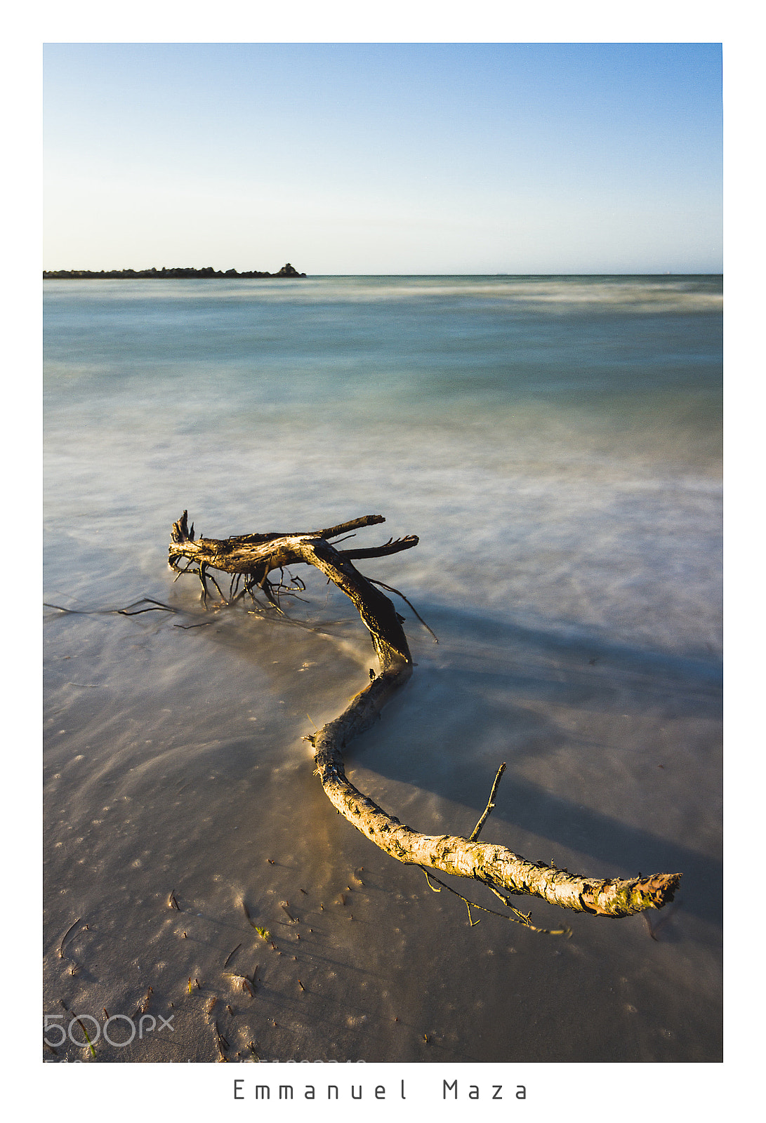 Canon EOS 7D sample photo. Criaturas de mar ii photography