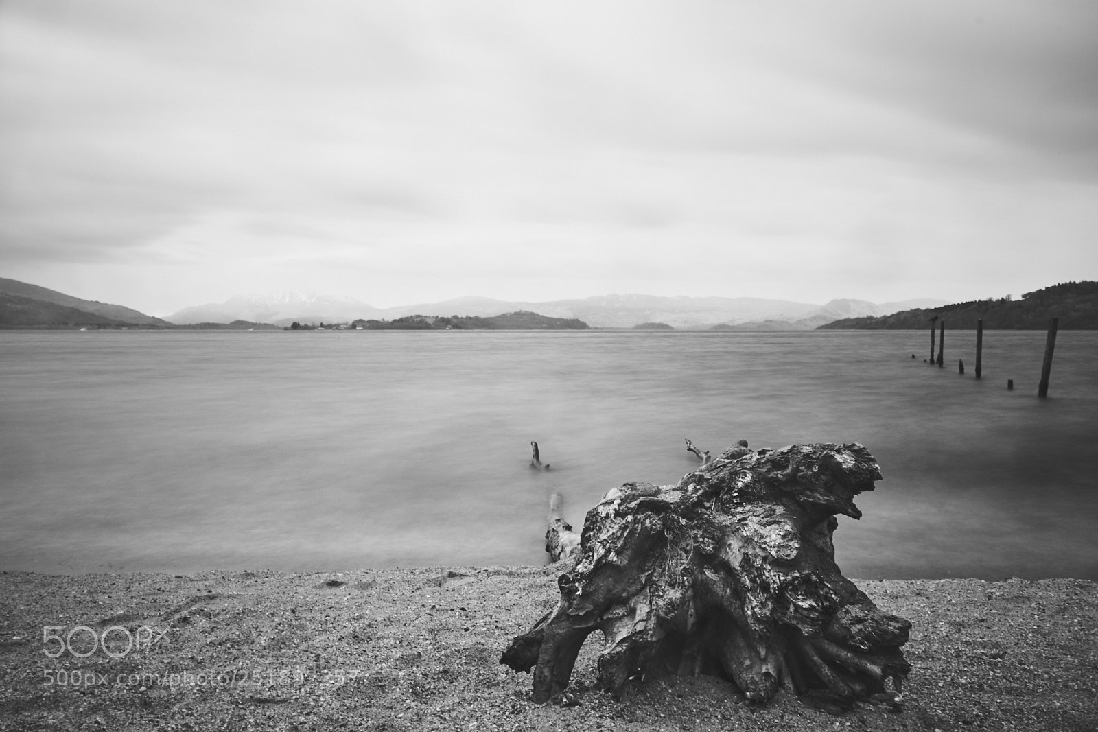 Sony a7R II sample photo. Day ninety two photography