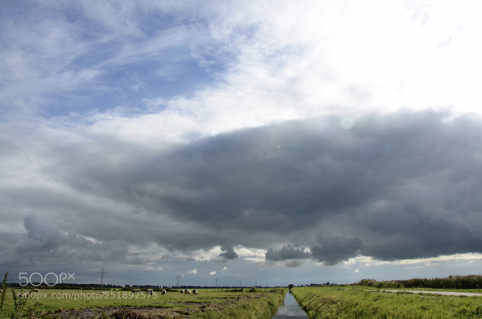 Nikon D5100 sample photo. Friesland netherlands photography