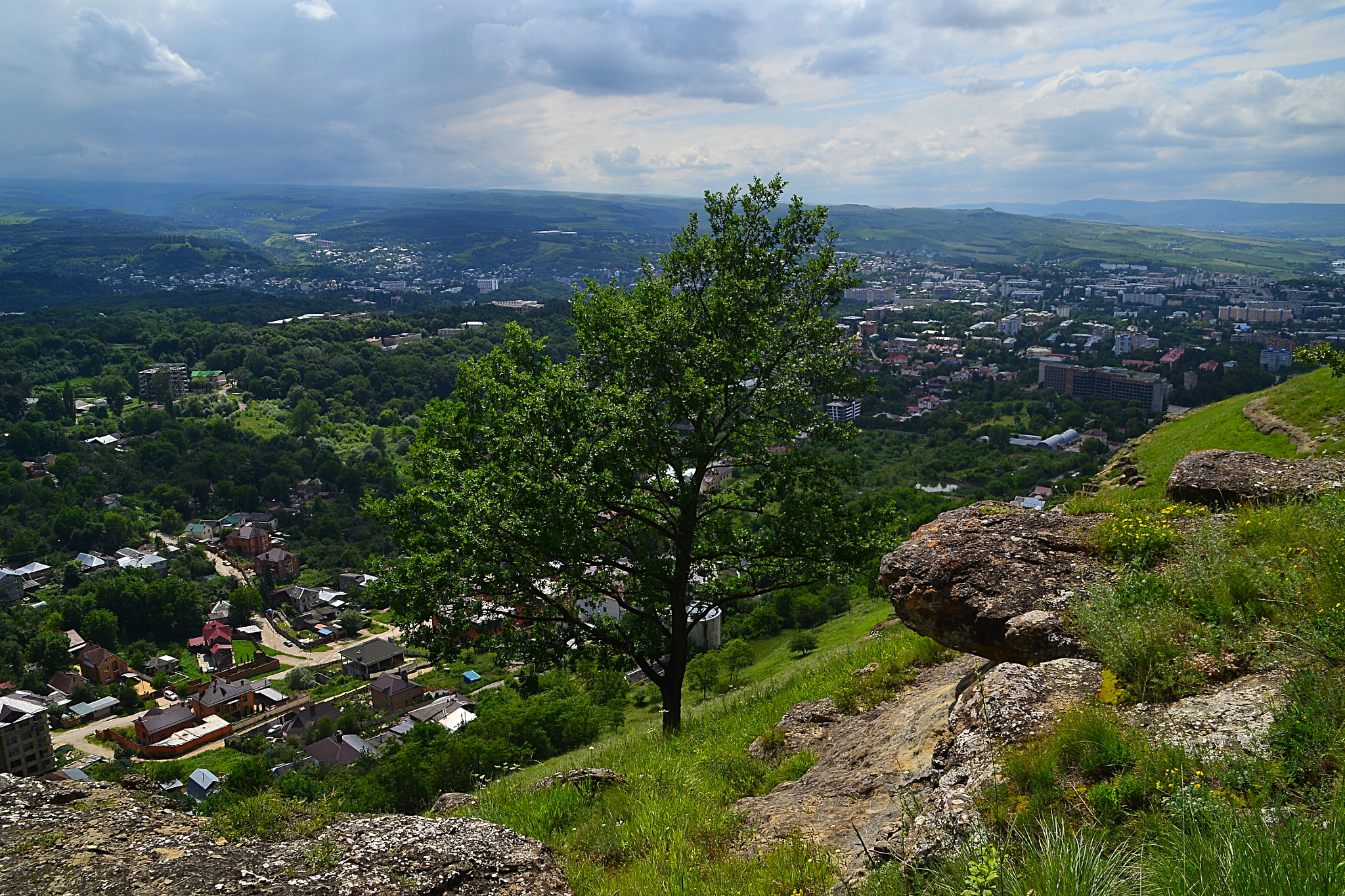 Nikon D3100 sample photo. Oak and cityscape photography